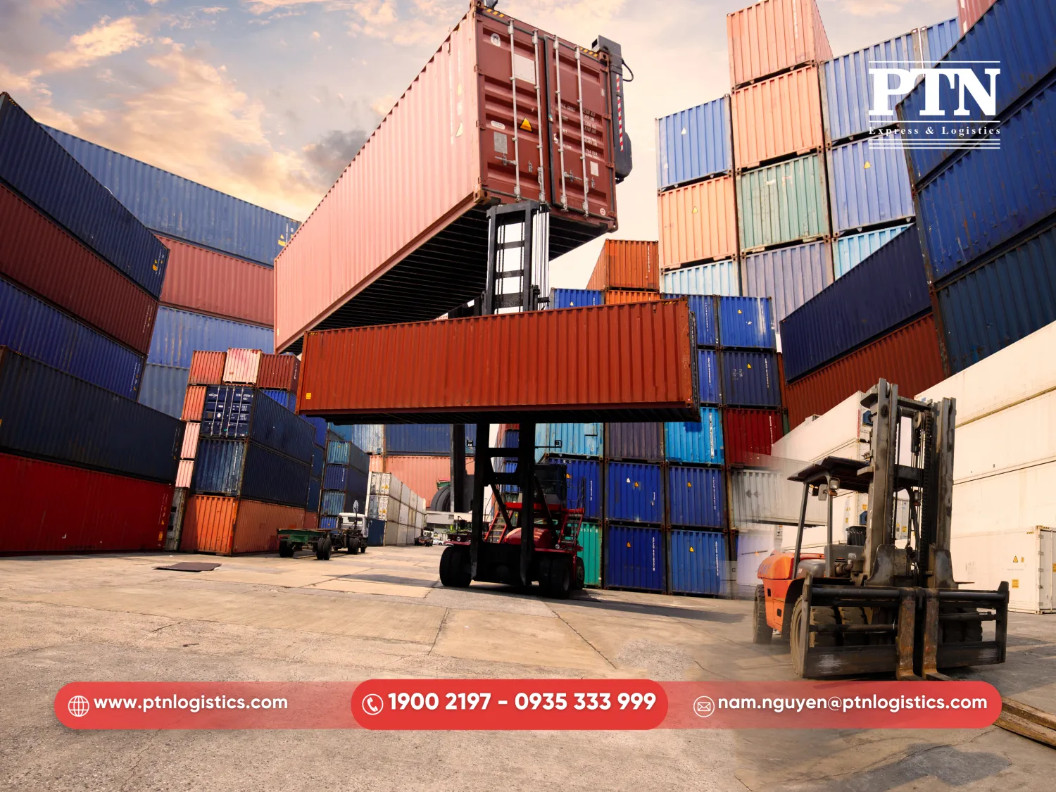 Cam kết về chỗ và vỏ cont trong màu cao điểm