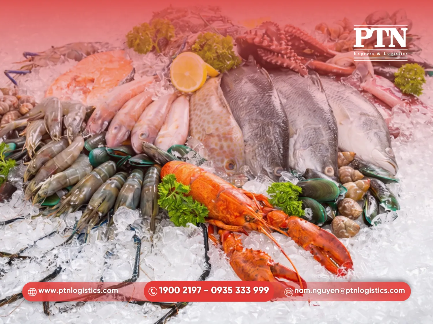 Chuyển thực phẩm đông lạnh tươi sống đi Campuchia