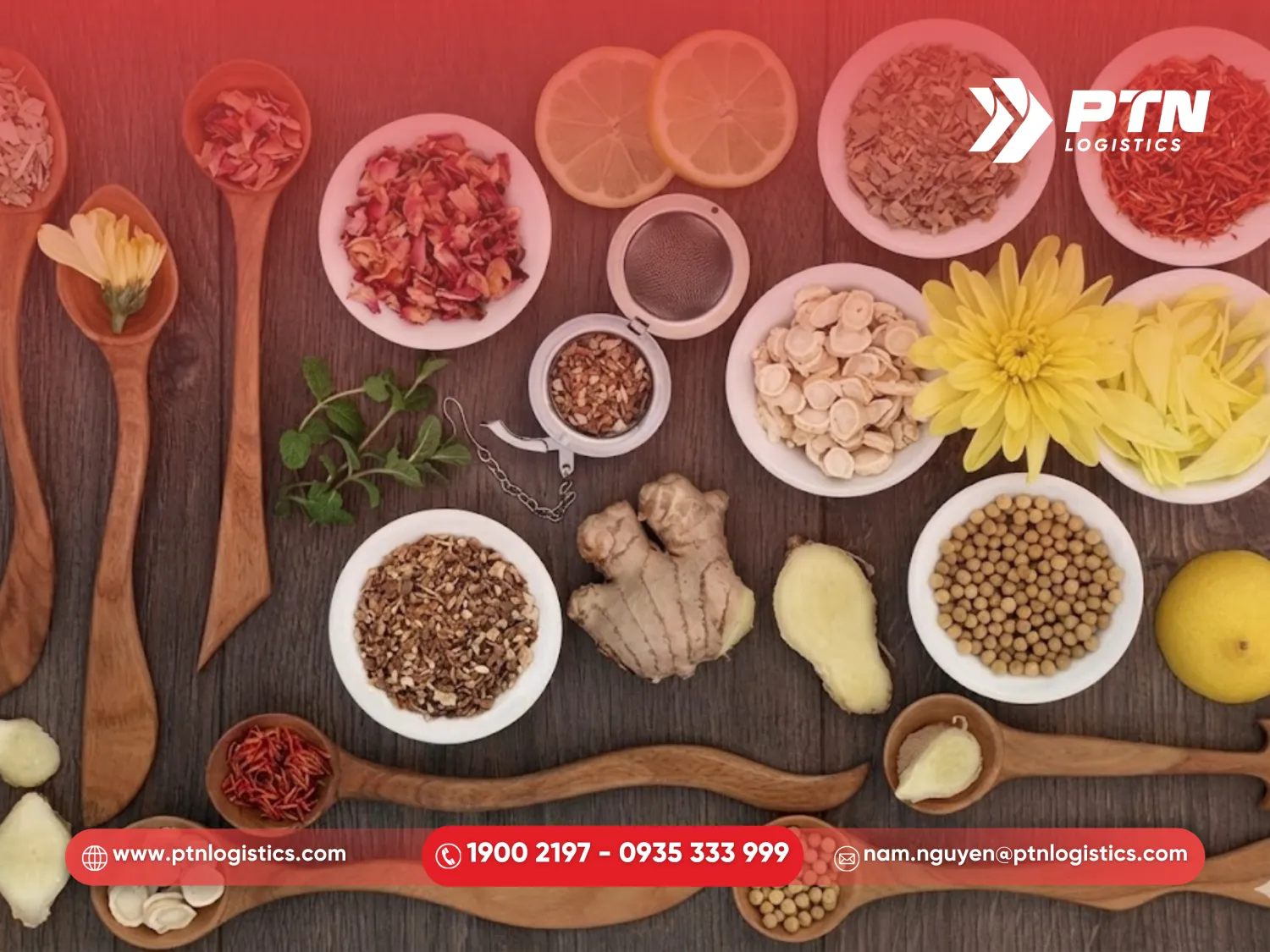 Loại thuốc có thành phần thảo dược thuần được gửi đi Mỹ