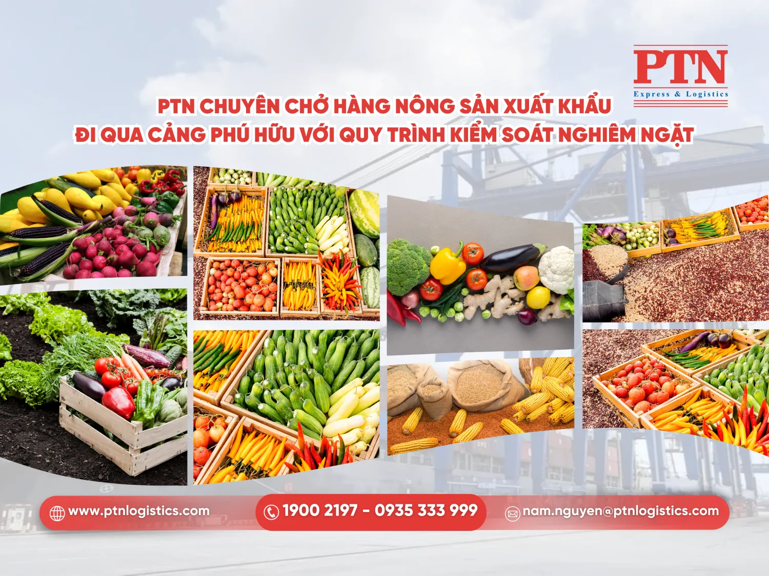 PTN chuyên chở hàng nông sản xuất khẩu đi qua cảng Phú Hữu