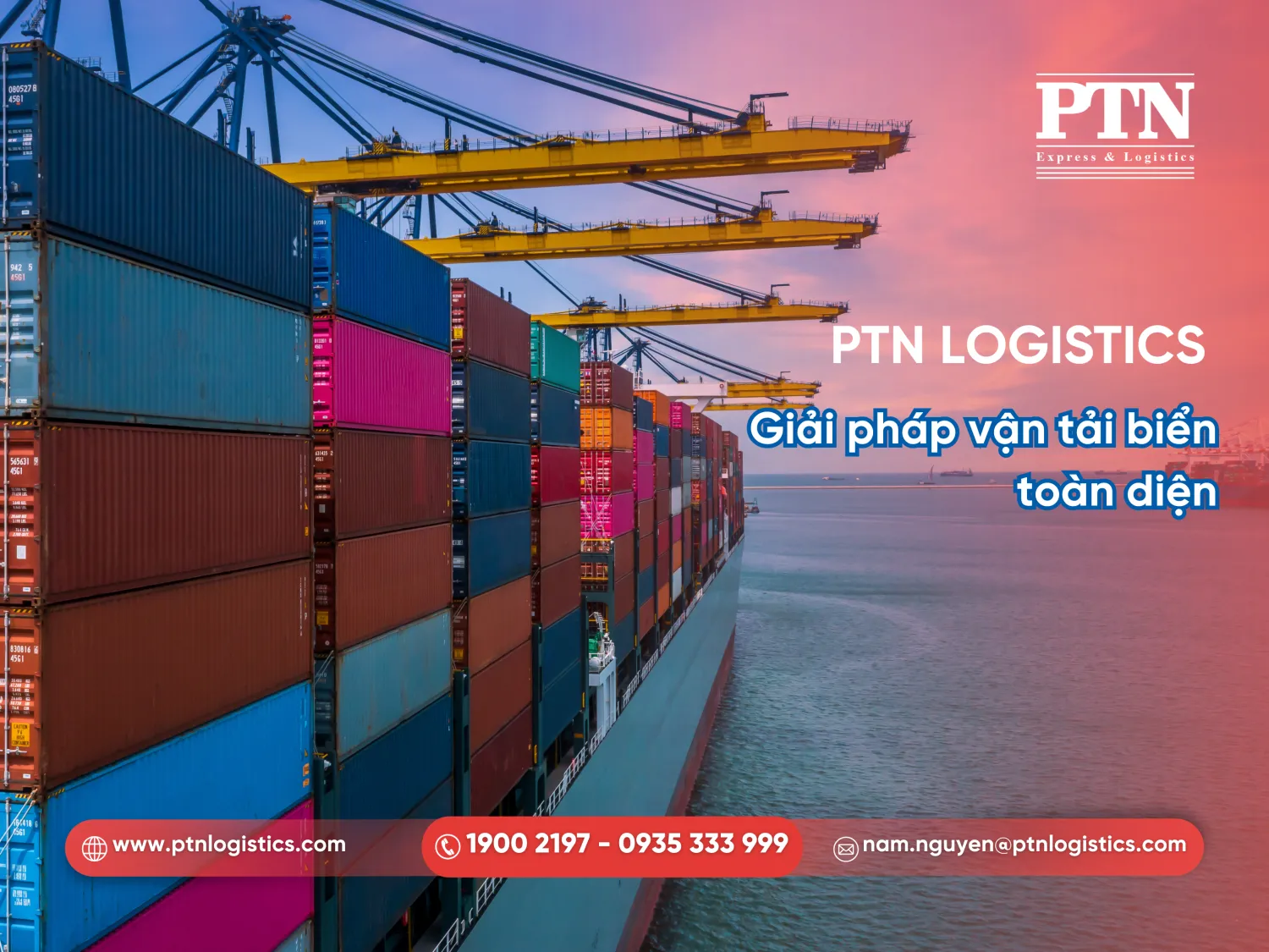 PTN cung cấp dịch vụ chuyên nghiệp 