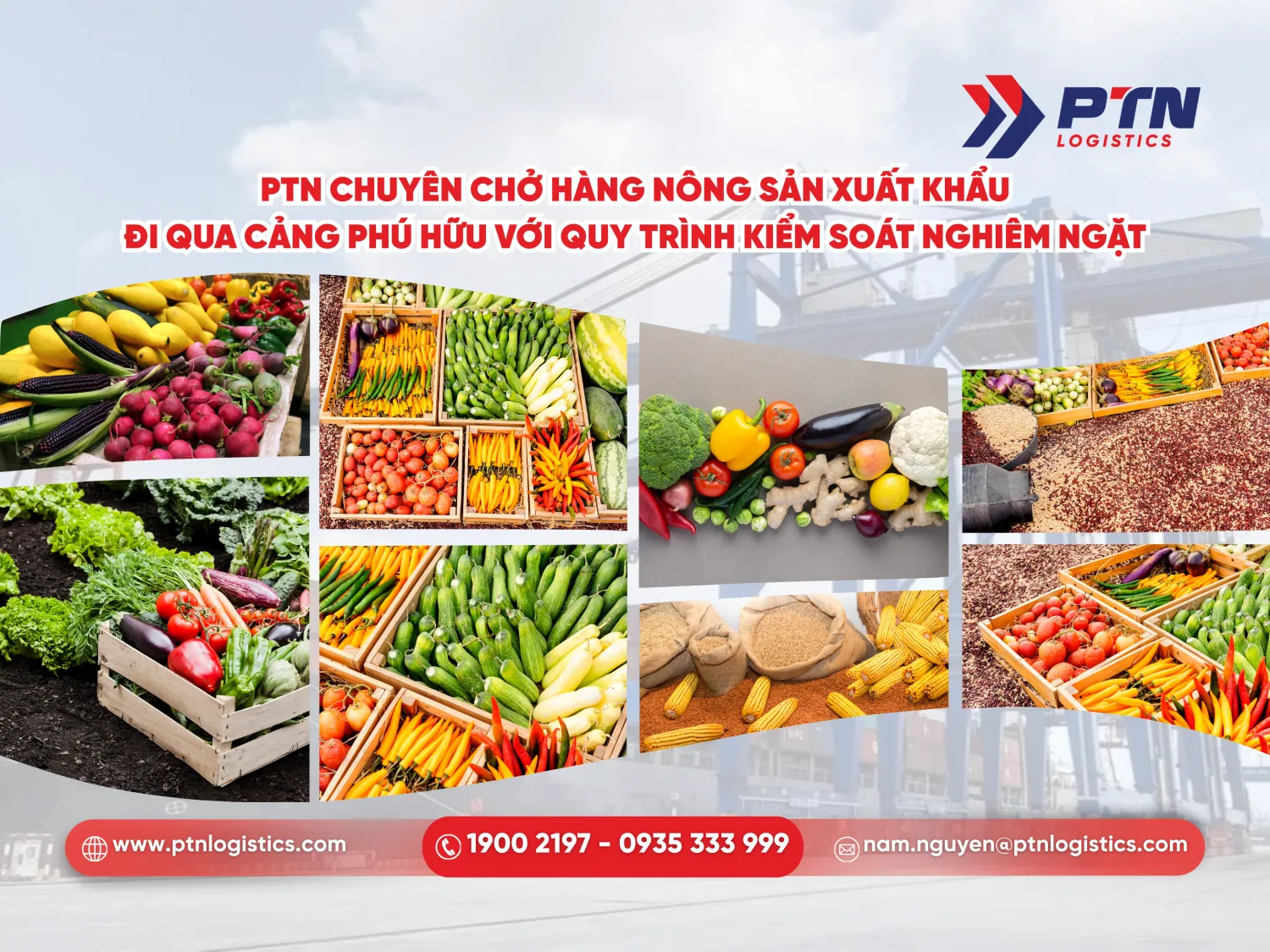 PTN Logistics chuyên chở hàng nông sản xuất khẩu đi qua cảng Phú Hữu