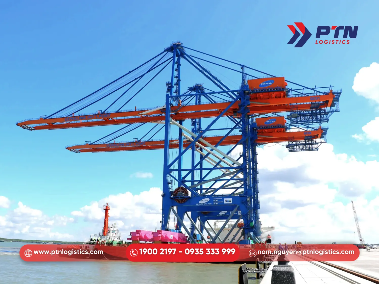 PTN Logistics có kinh nghiệm xử lý các tình huống tại cảng