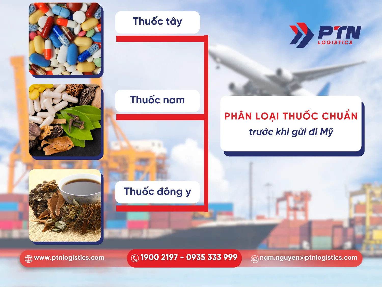 Tiến hành phân loại thuốc trước khi gửi