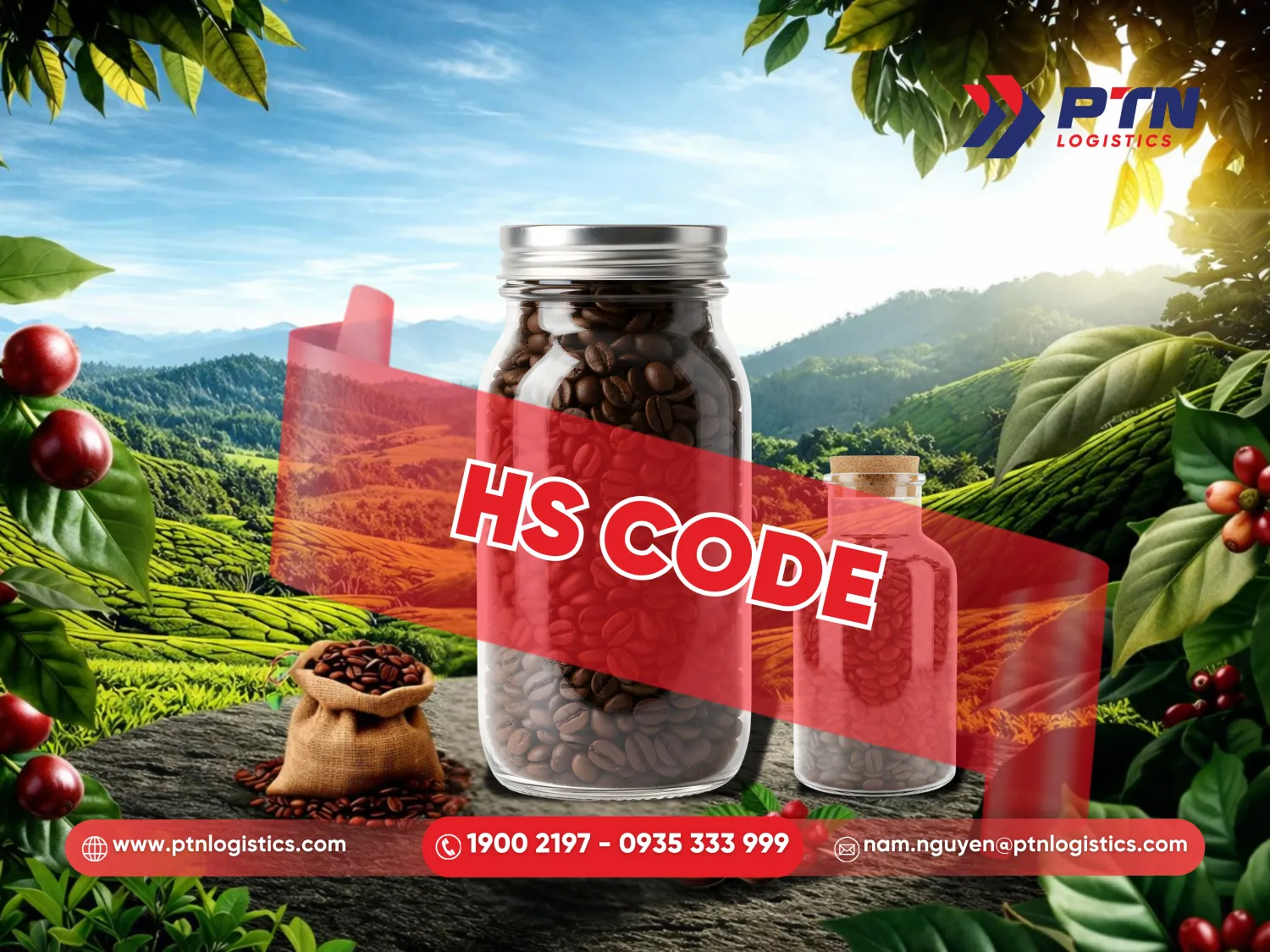 Tư vấn mã HS Code đúng cho cà phê