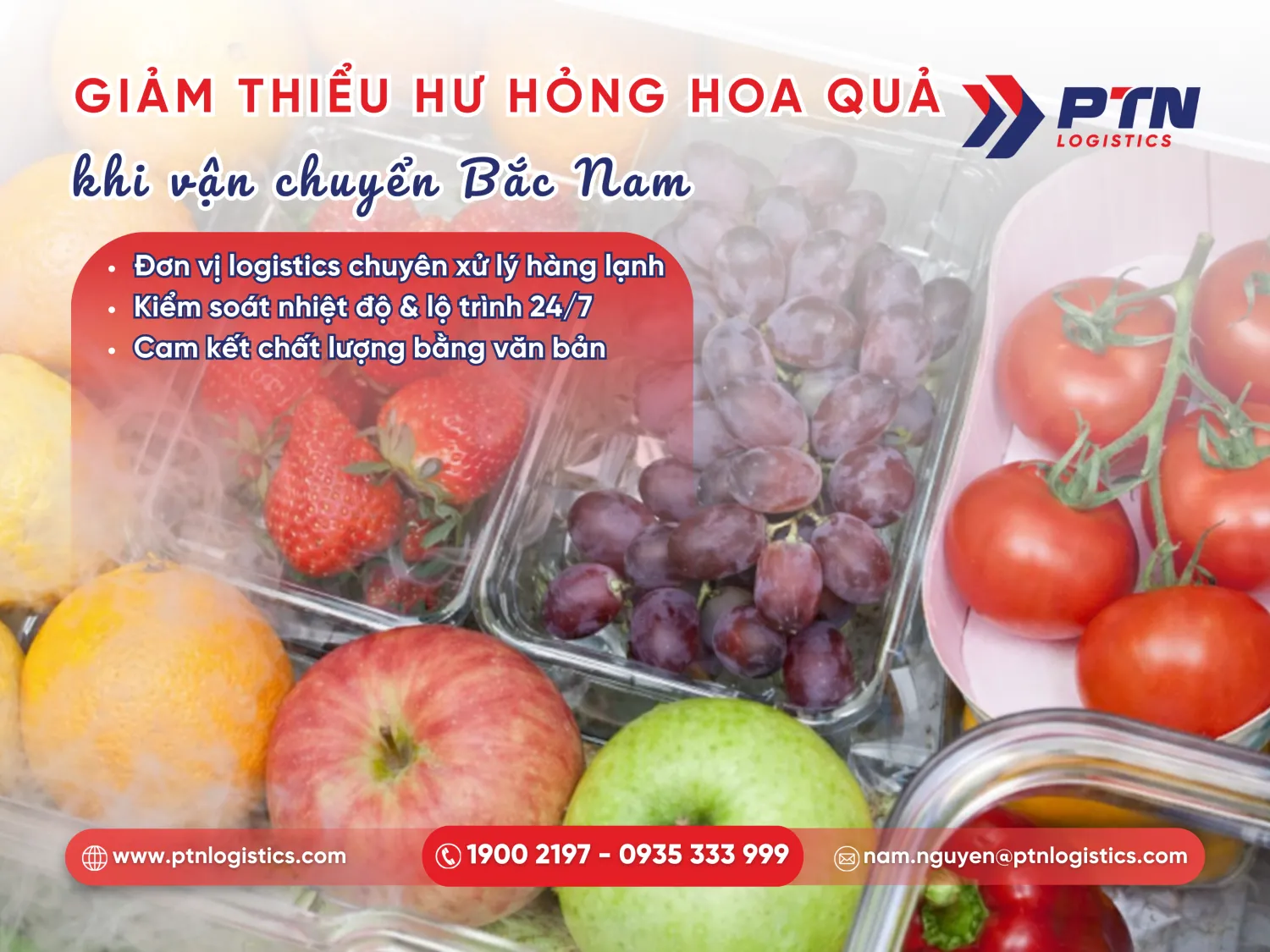 Bí quyết hạn chế hư hỏng cho hoa quả khi vận chuyển
