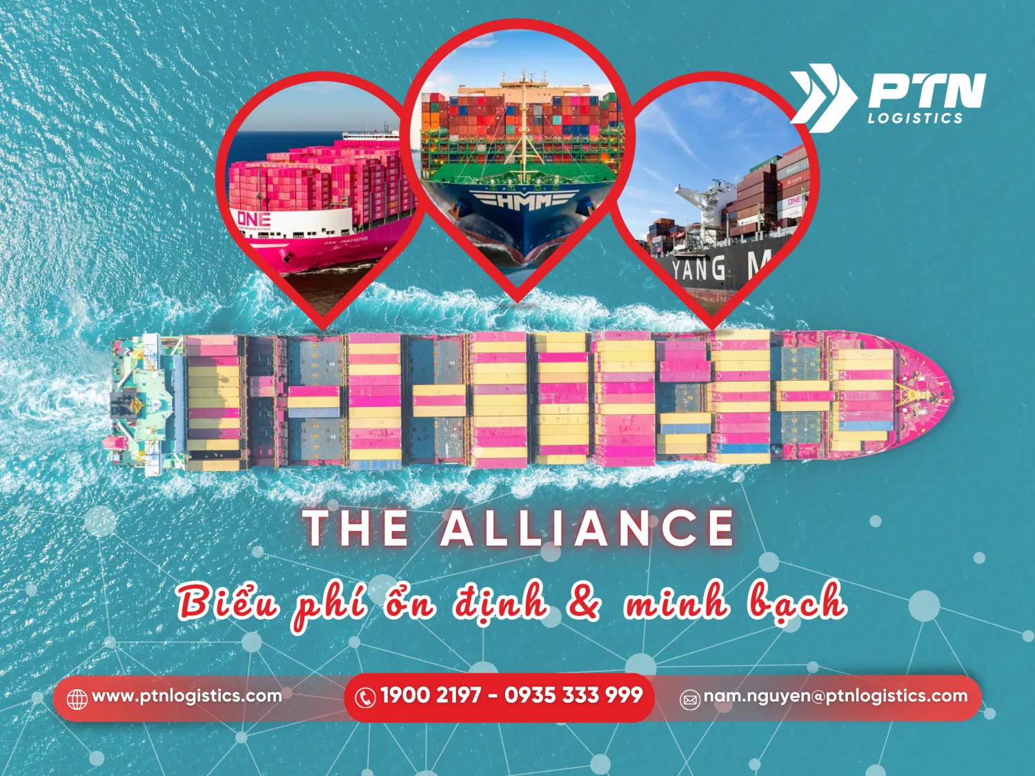Biểu phí nhóm the alliance