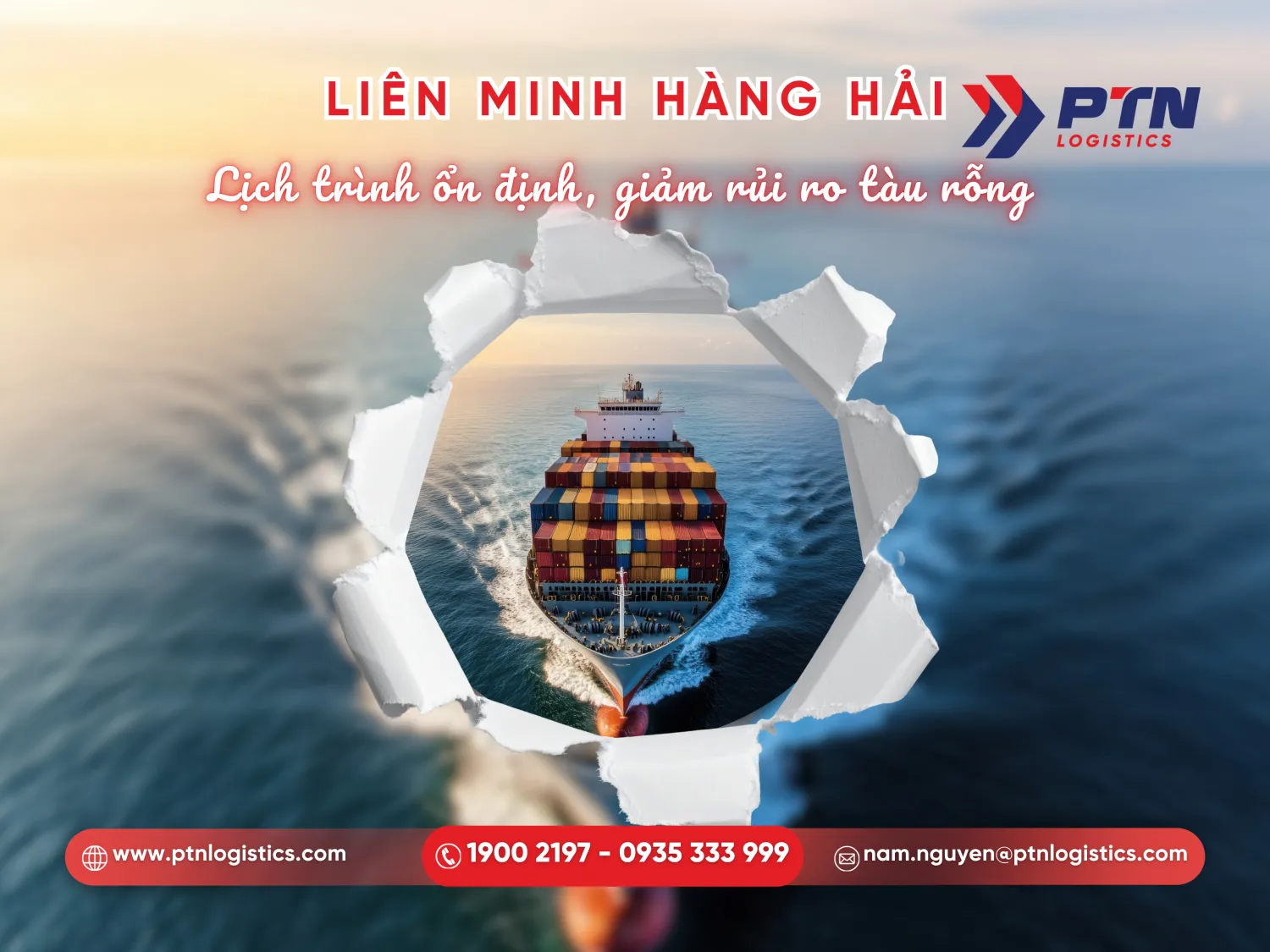 Các liên minh hãng tàu