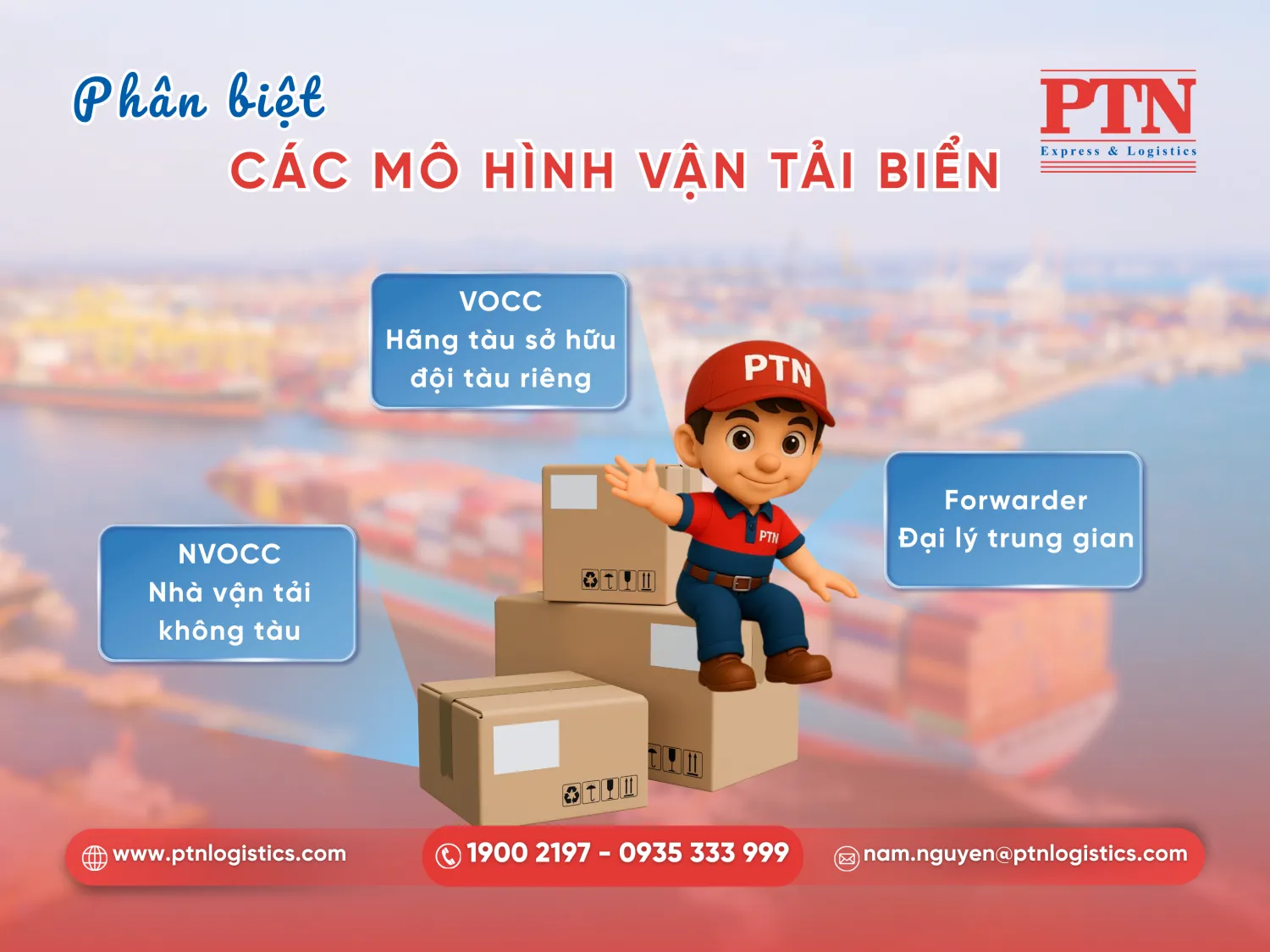 Các mô hình công ty vận tải biển hiện nay