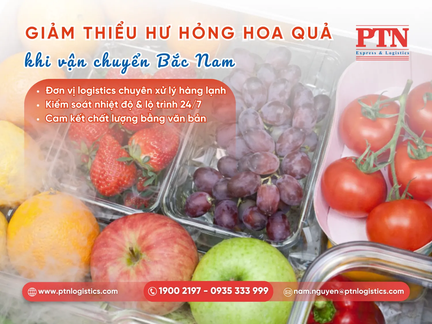 Cách hạn chế hư hỏng cho hoa quả khi vận chuyển
