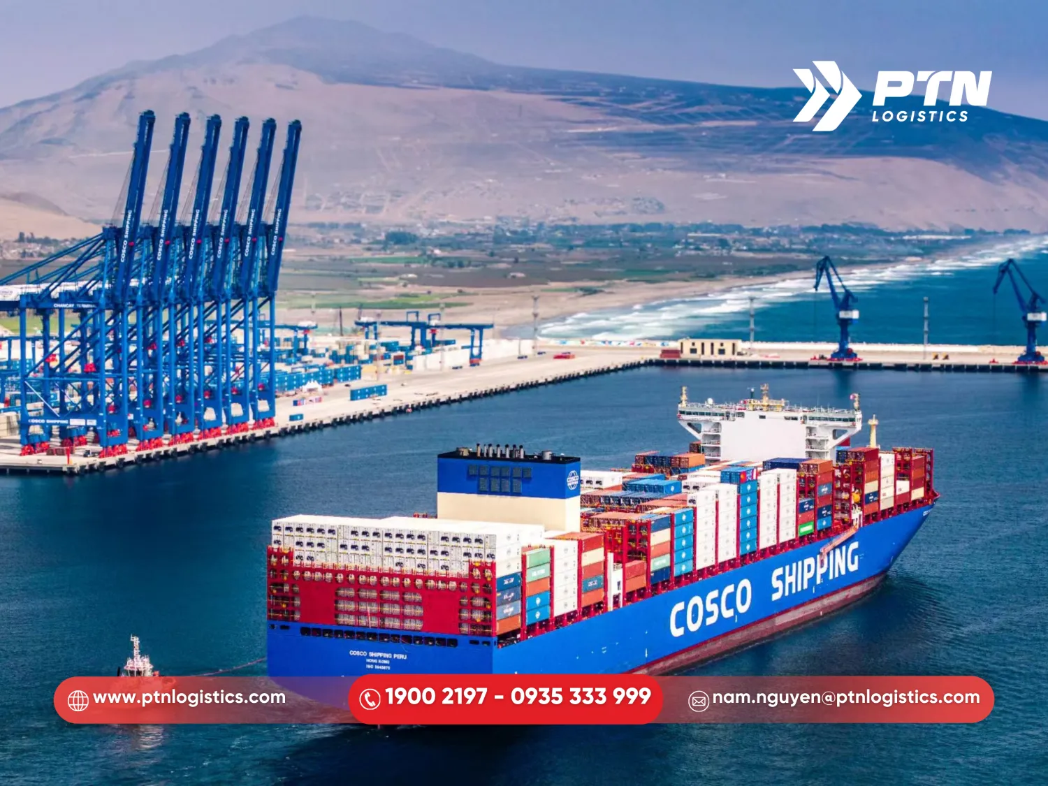 COSCO Shipping Lines: Sức mạnh từ Trung Quốc