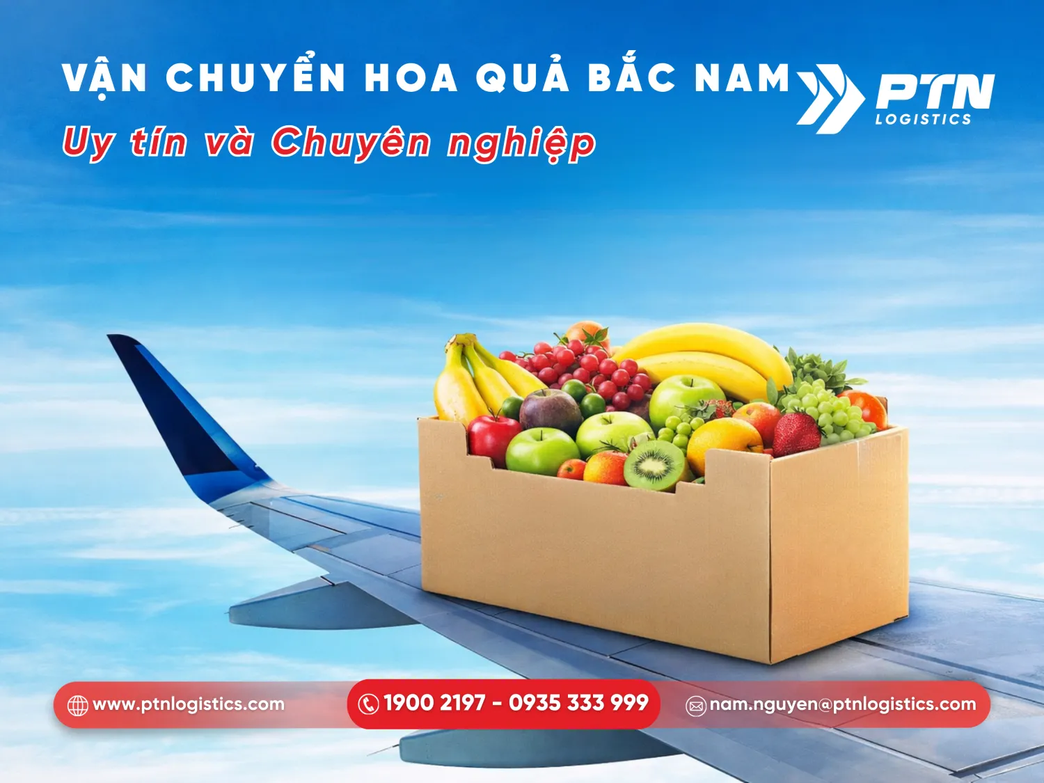 Dịch vụ vận chuyển hoa qua Bắc Nam uy tín và chuyên nghiệp