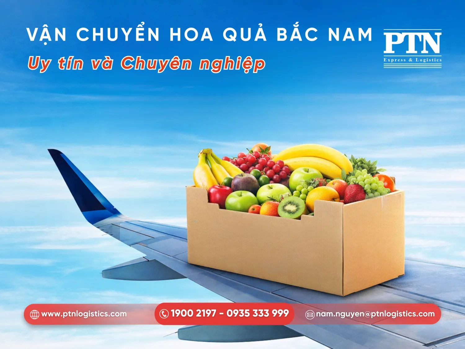 Dịch vụ vận chuyển hoa quả Bắc Nam uy tín