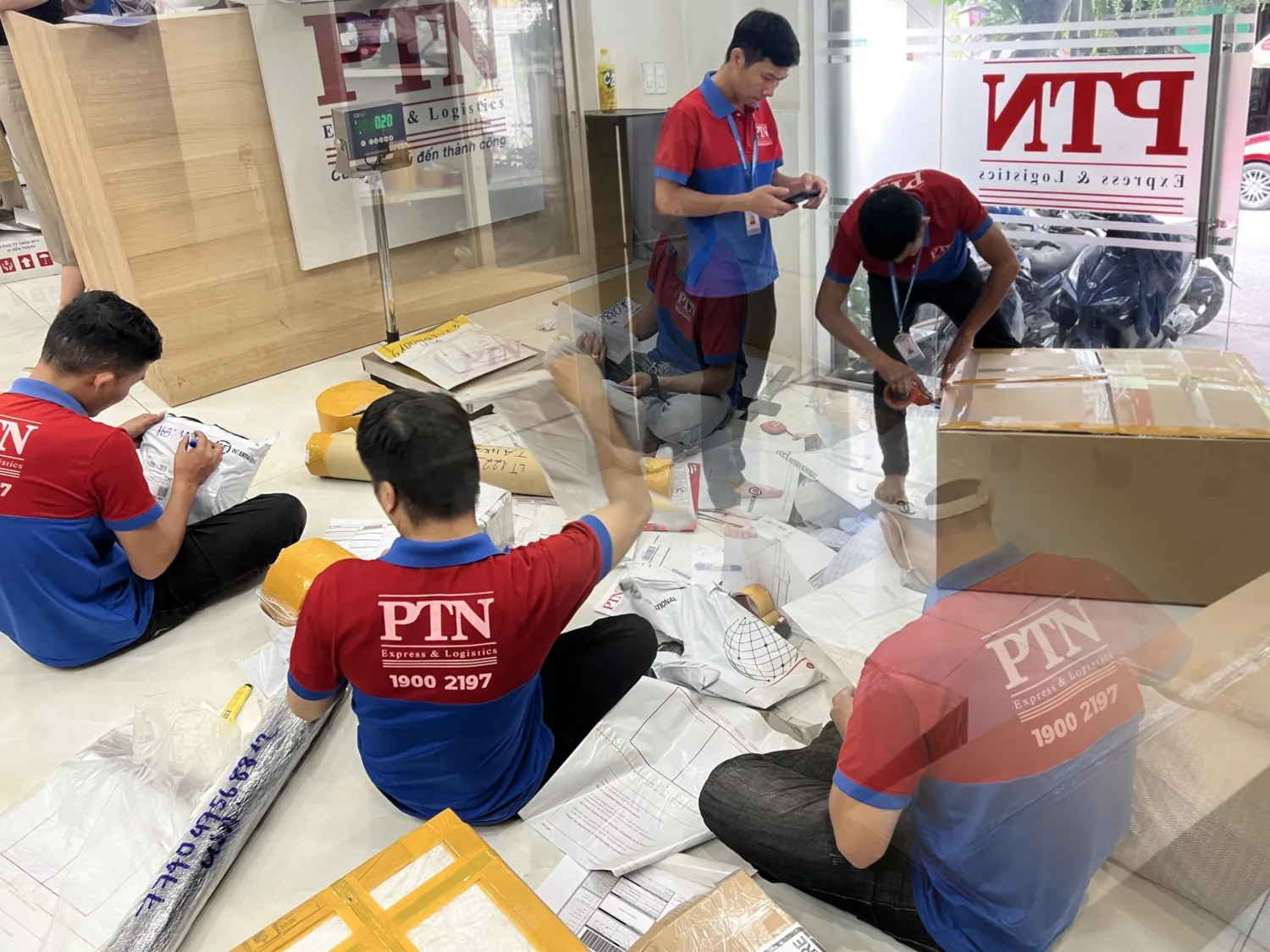 Đội ngũ nhân sự PTN Logistics giàu kinh nghiệm