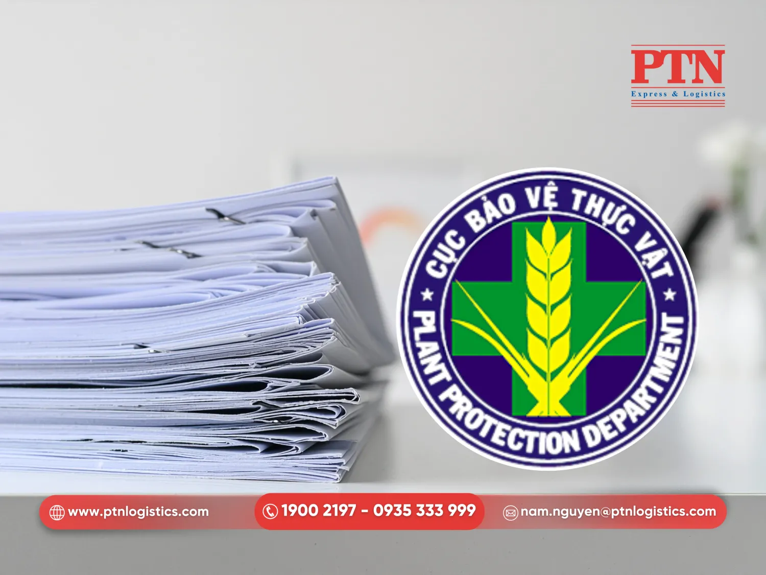 Giấy phép nhập khẩu nông sản từ Cục bảo vệ thực vật