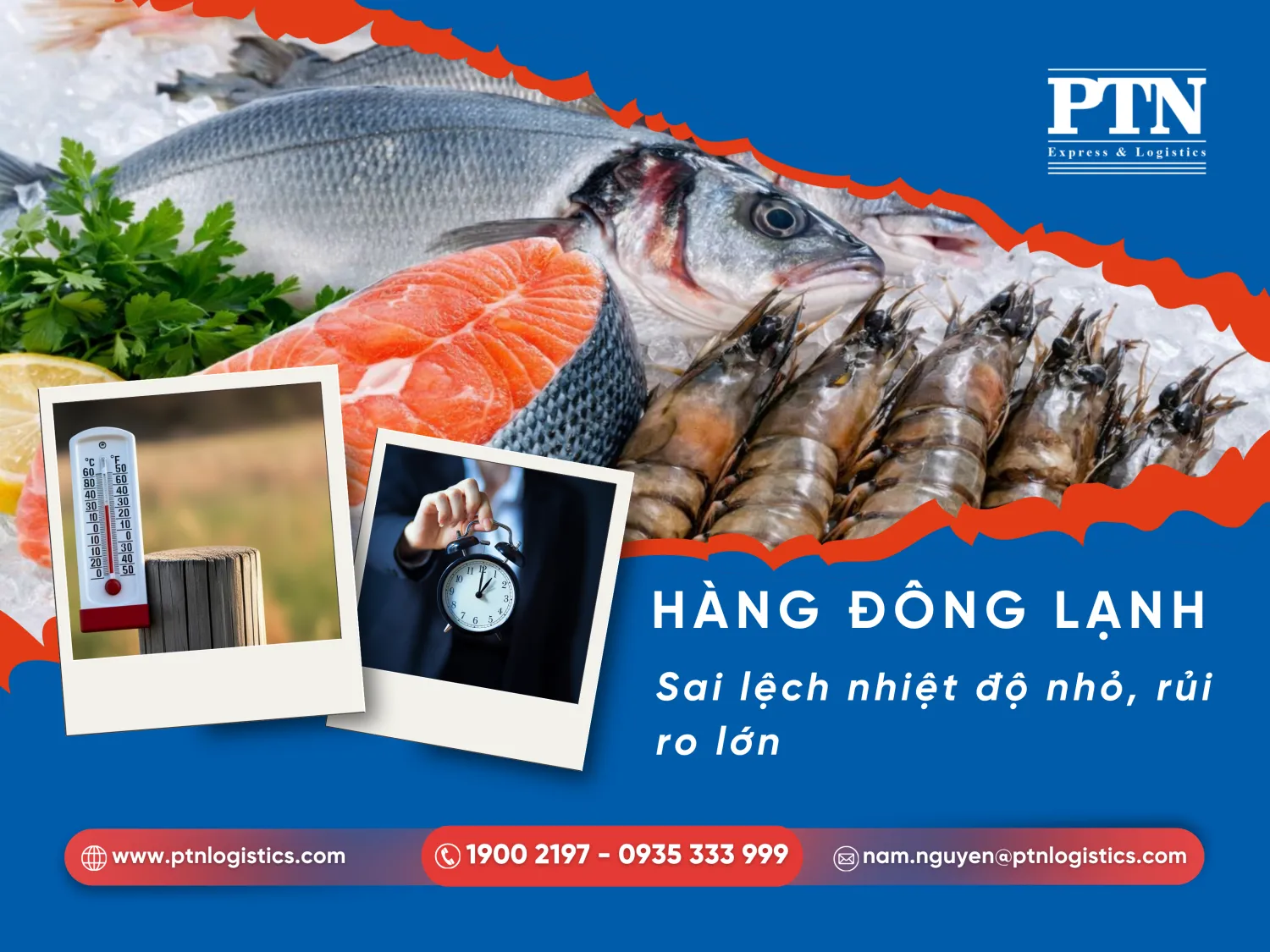 Hàng đông lạnh nhạy cảm thời gian với nhiệt độ