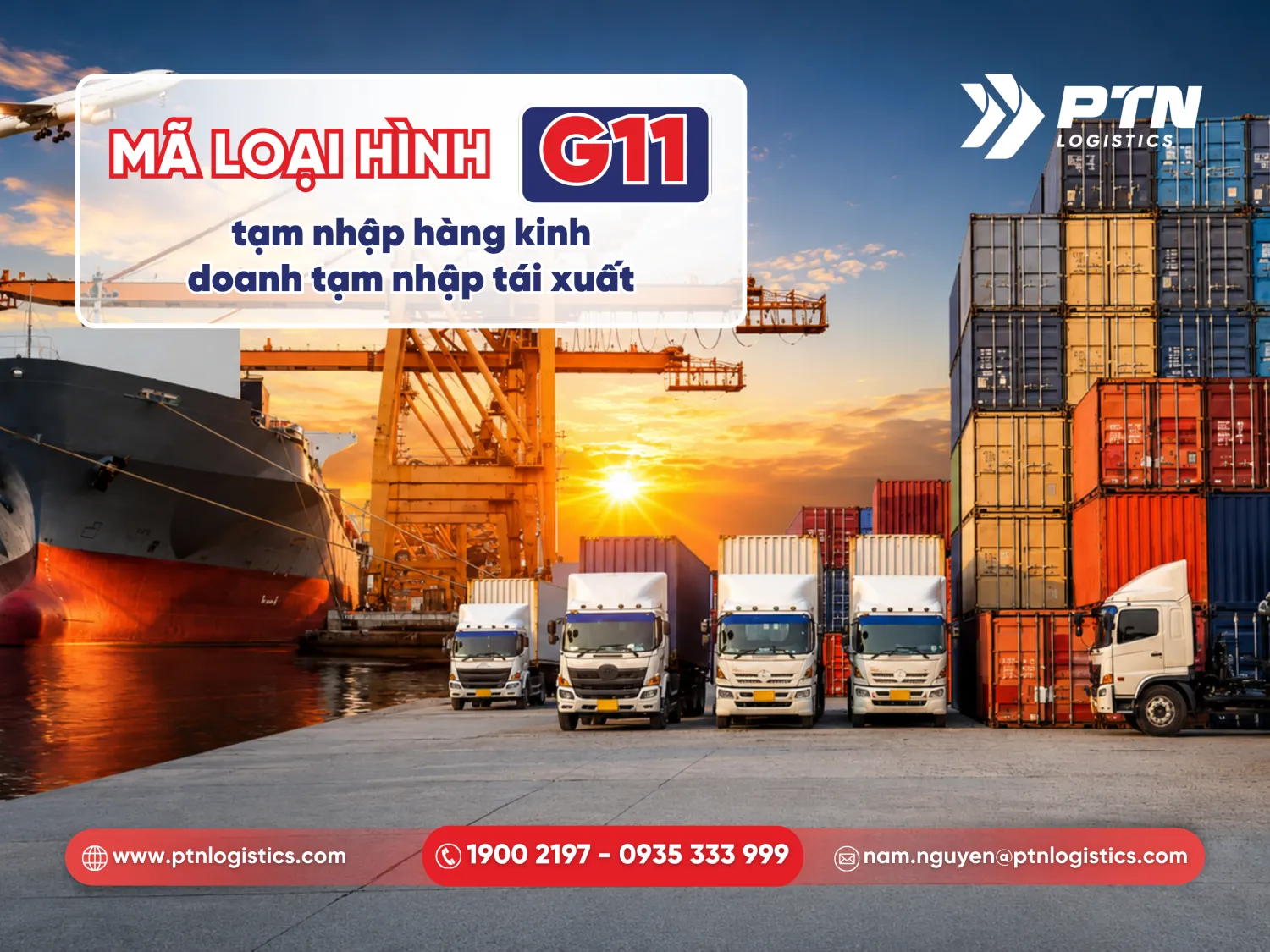 Mã loại hình G11 chi tiết