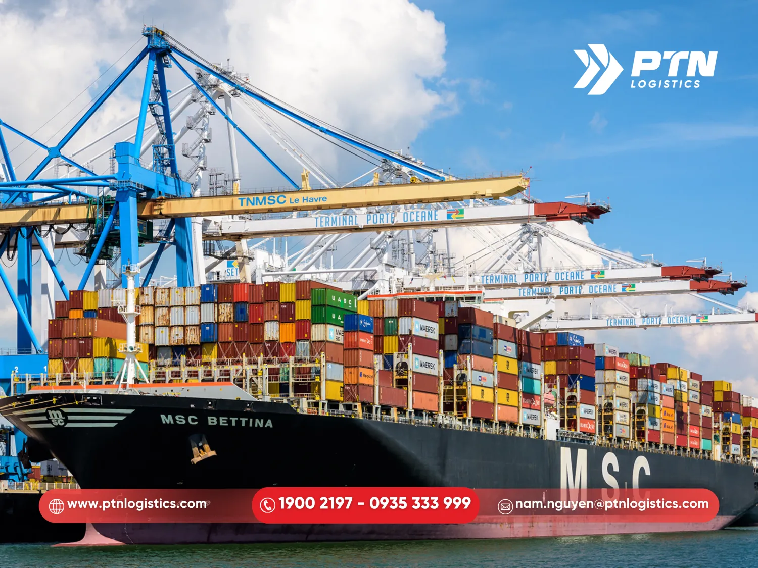 MCS là vua vận tải biển mới