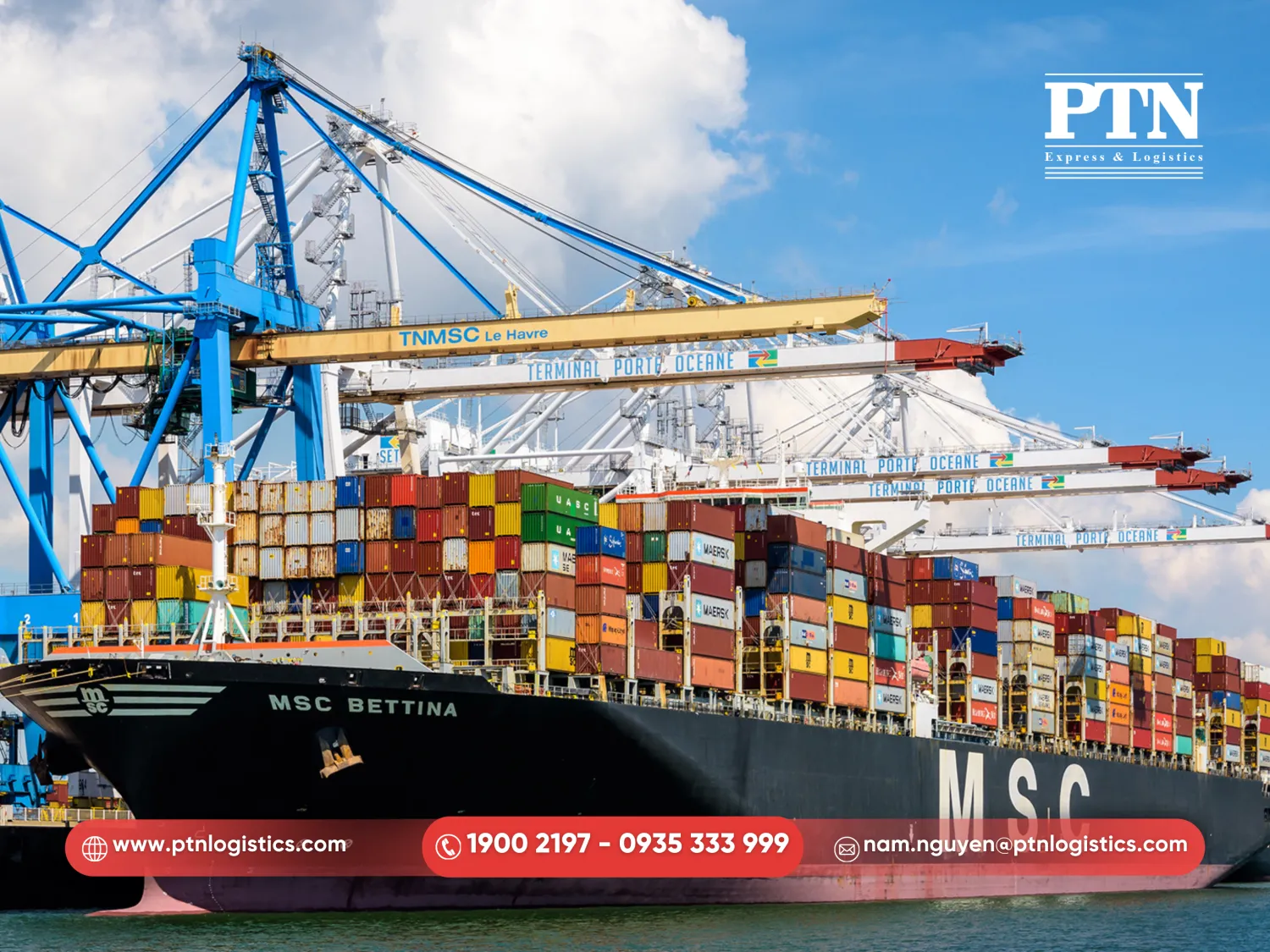 MCS - Vua vận tải biển mới