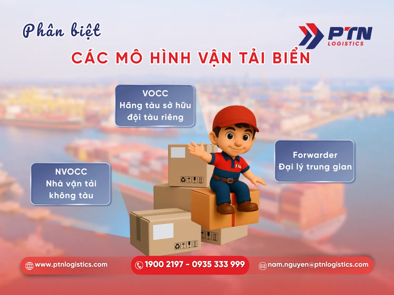 Những mô hình công ty vận tải biển hiện nay