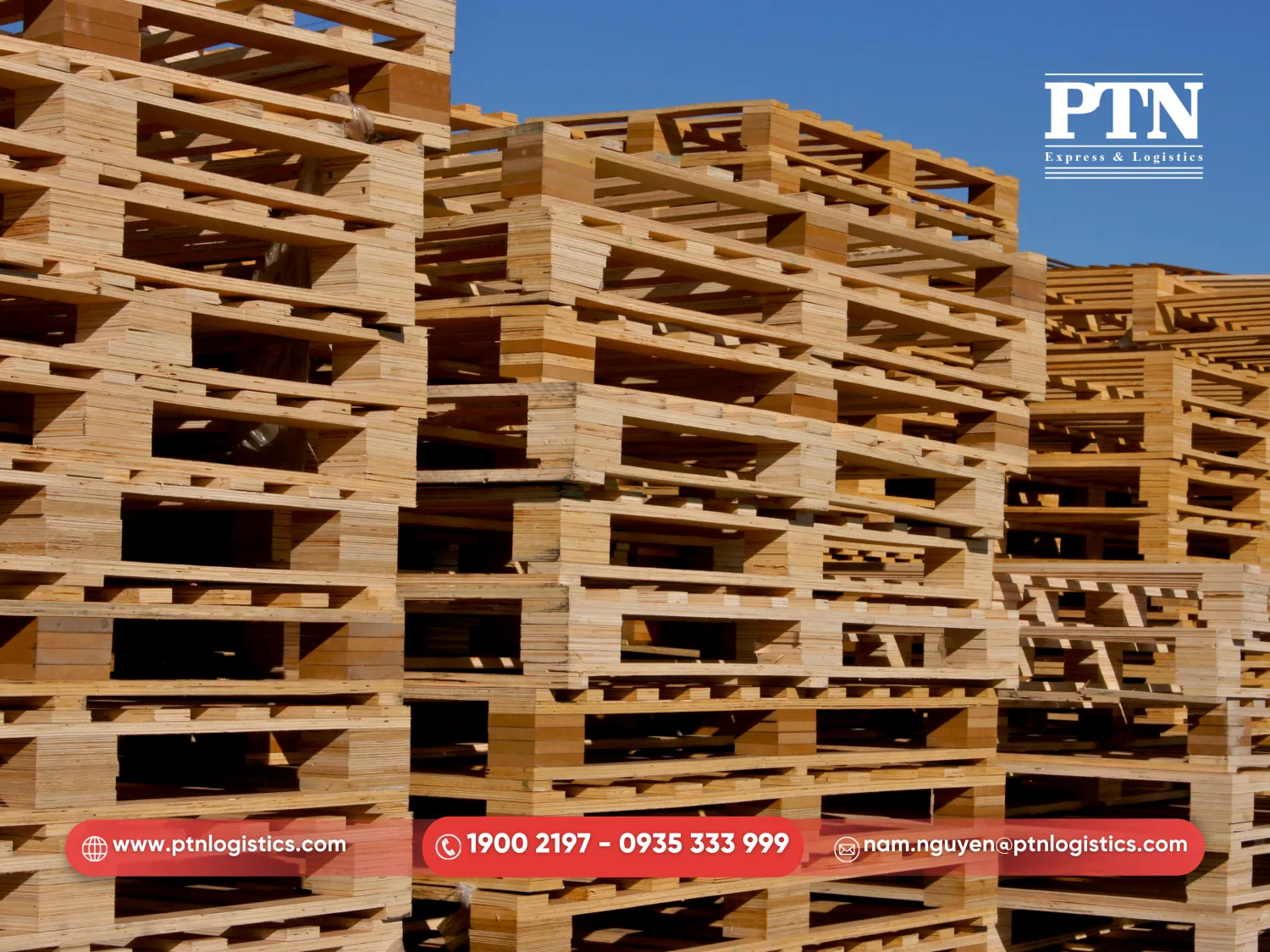 Quy định về pallet gỗ và hun trùng khi nhập khẩu vô Nhật