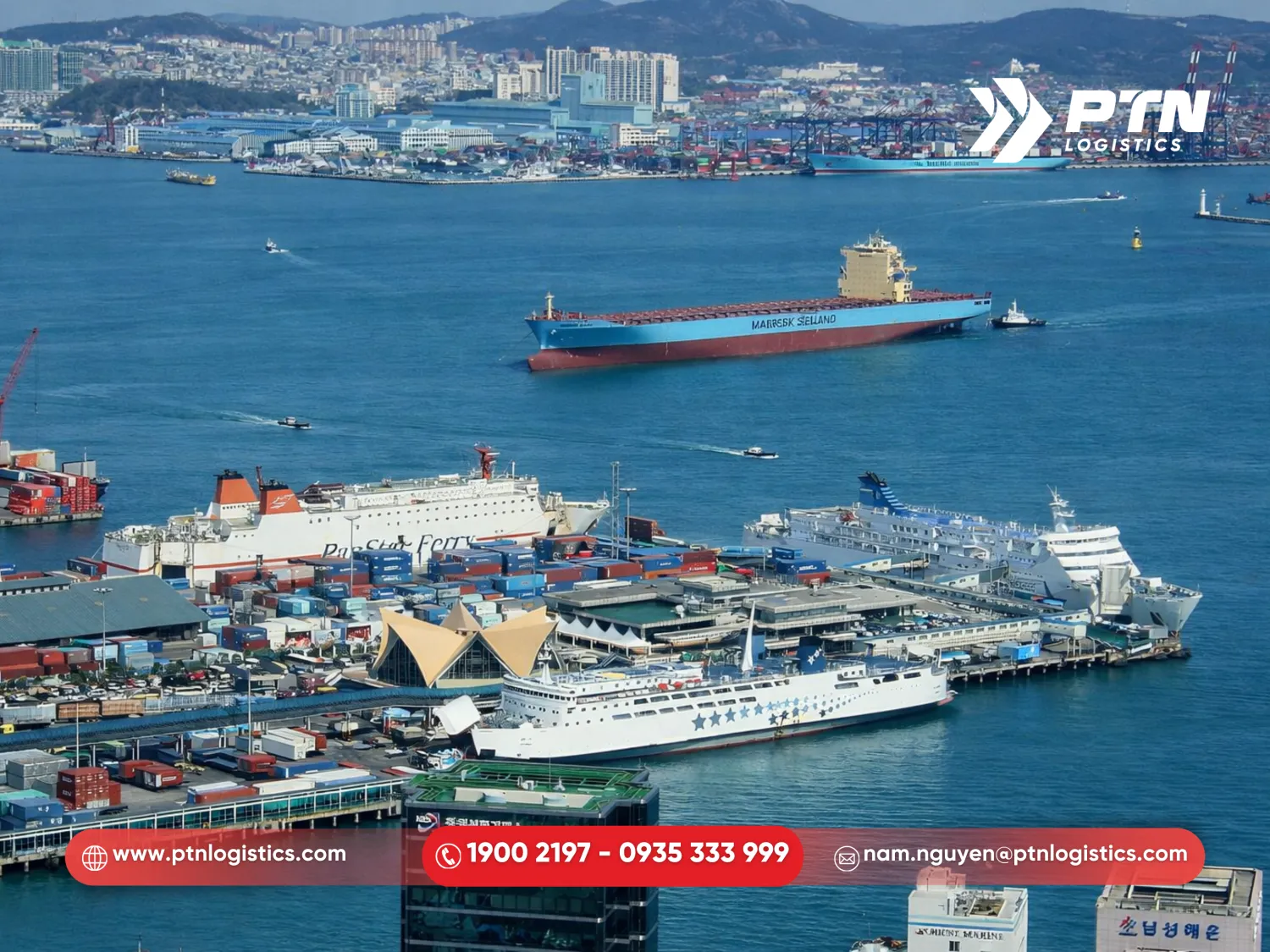 Tìm hiểu cảng Busan Hàn Quốc