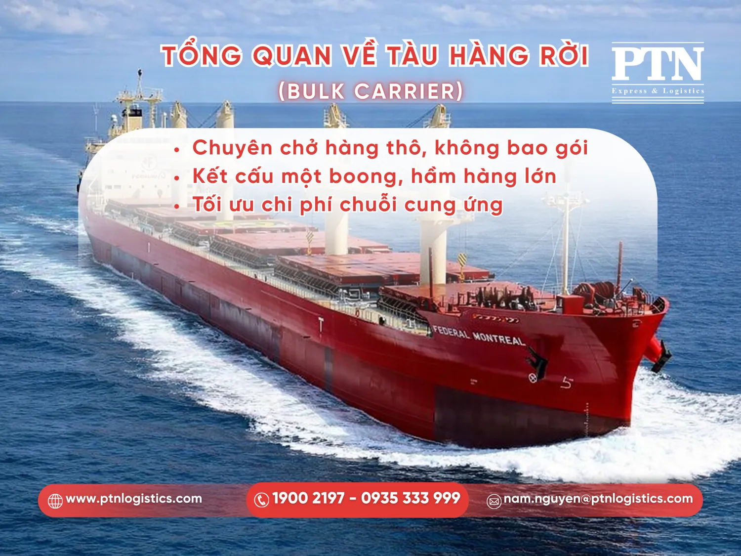 Tìm hiểu về tàu hàng rời