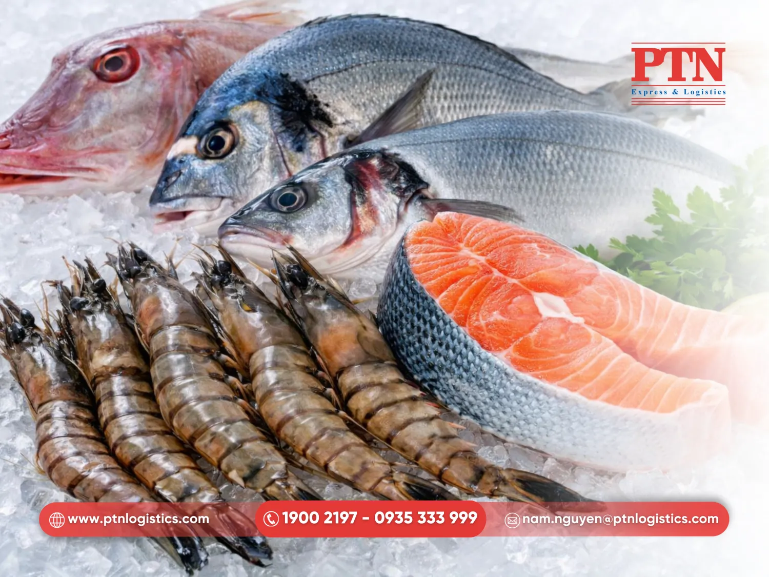 Vận chuyển thủy hải sản đông lạnh