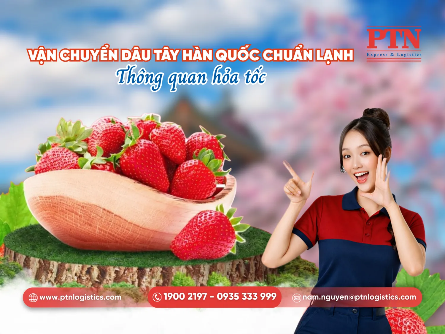 Dâu nhập khẩu Hàn Quốc