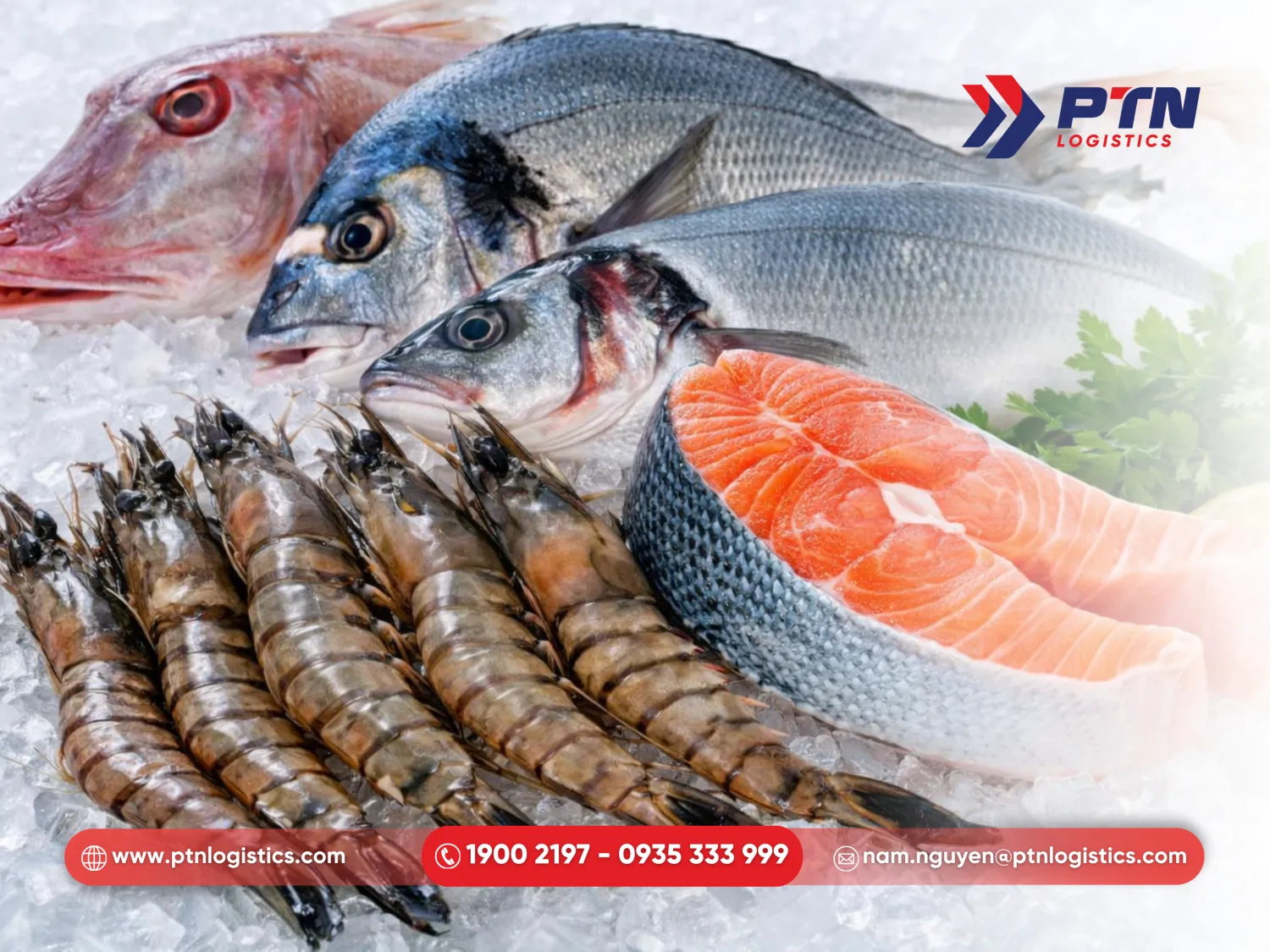 Dịch vụ vận chuyển thủy hải sản đông lạnh