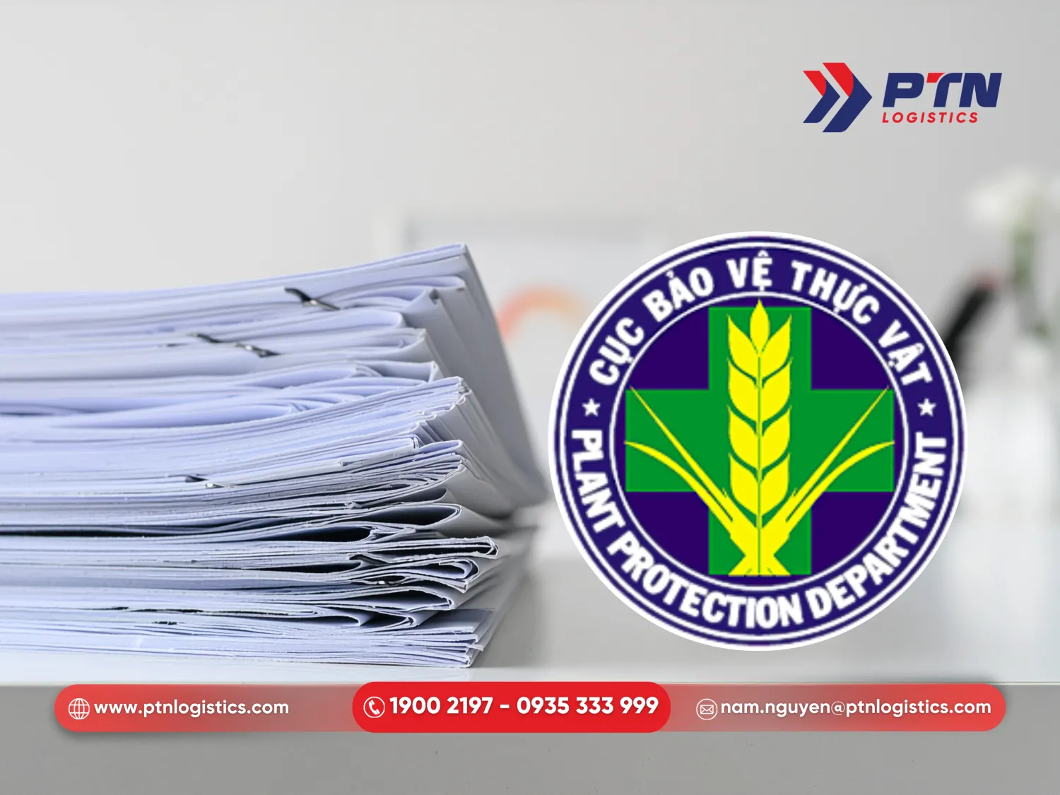 Giấy phép nhập khẩu hàng nông sản từ Cục bảo vệ thực vật