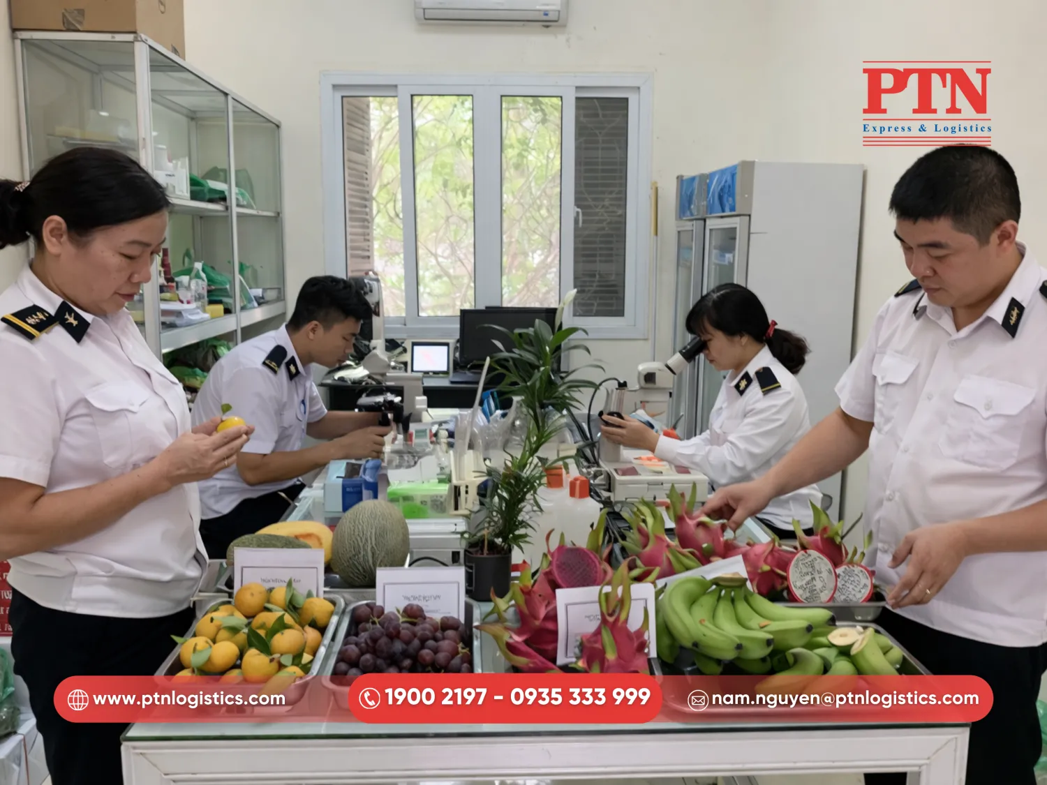 Hỗ trợ trọn gói thủ tục công bố kiểm dịch thực vật