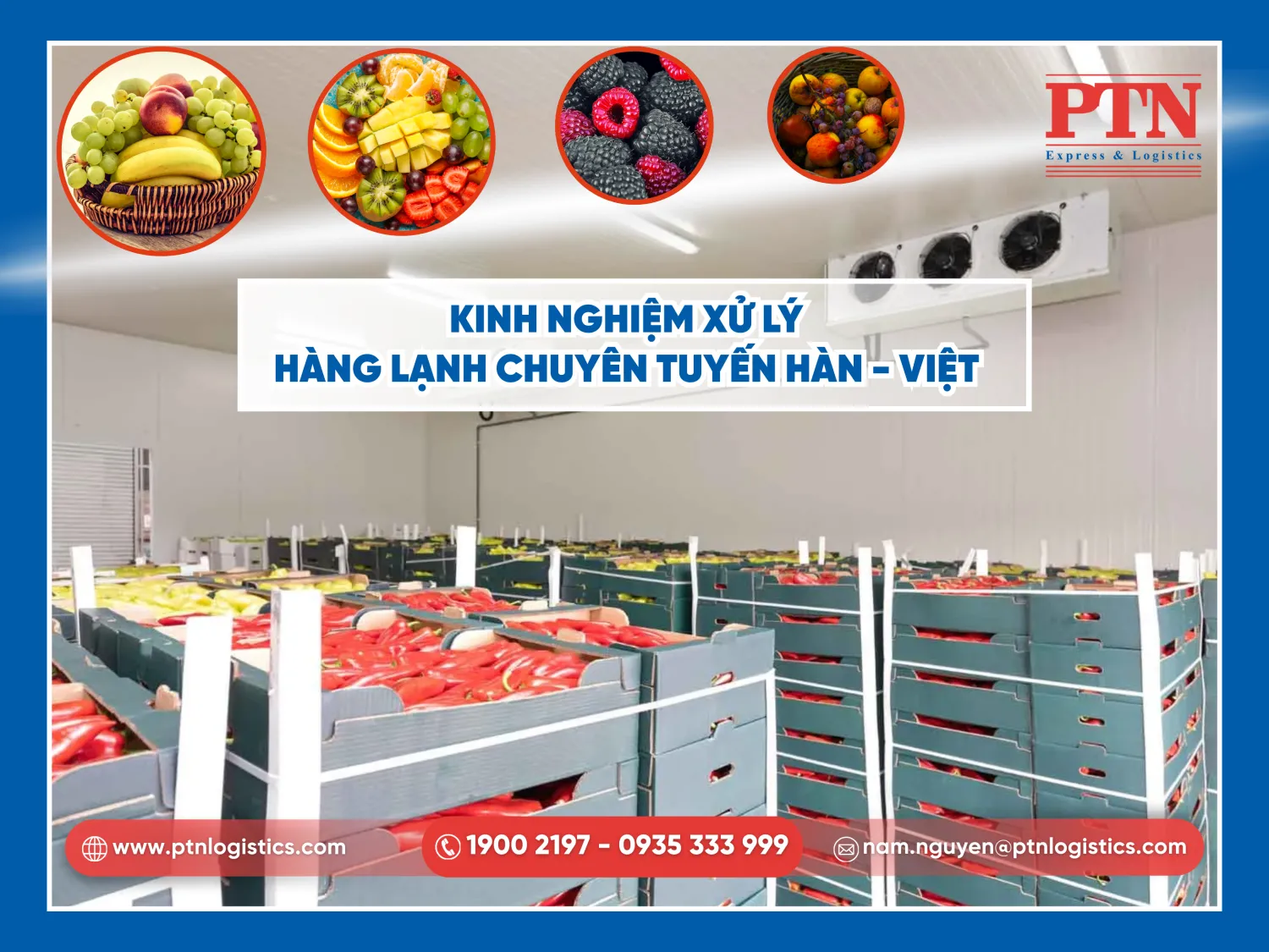 Kinh nghiệm xử lý hàng lạnh chuyên tuyến Hàn - Việt