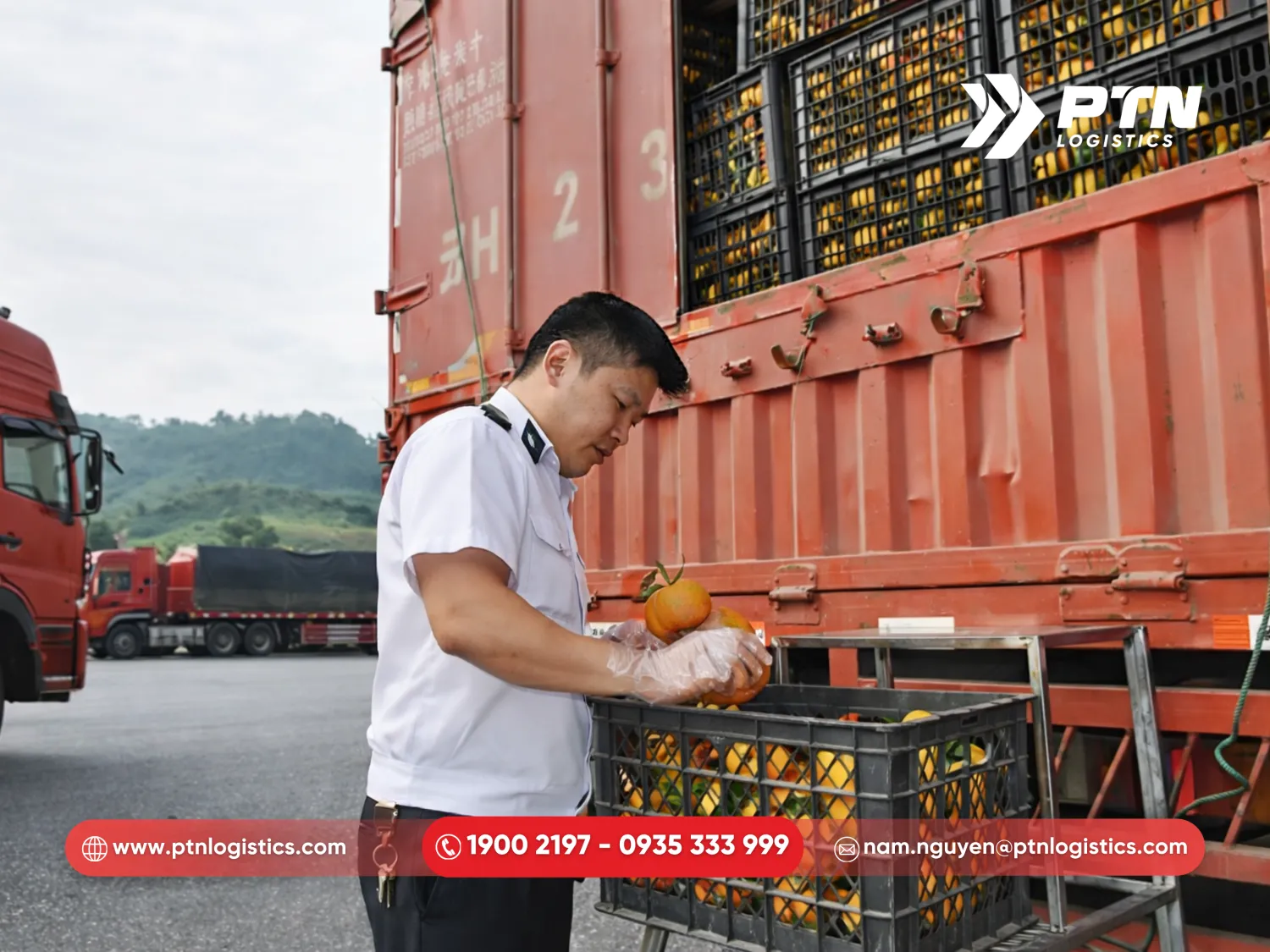 Lấy mẫu kiểm dịch tại cửa khẩu hoặc cảng