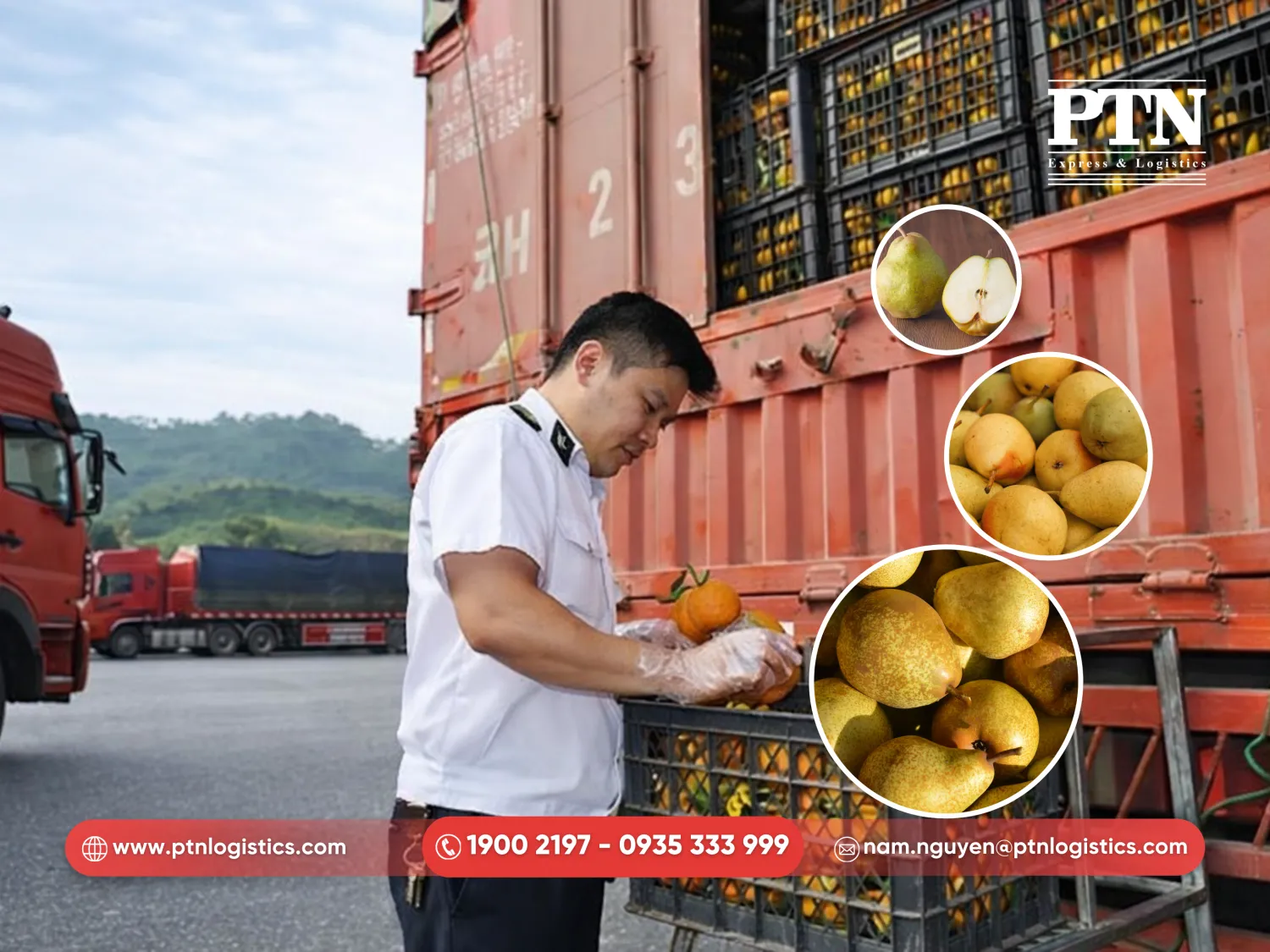 Lấy mẫu thực tế tại cảng/sân bay khi hàng cập bến