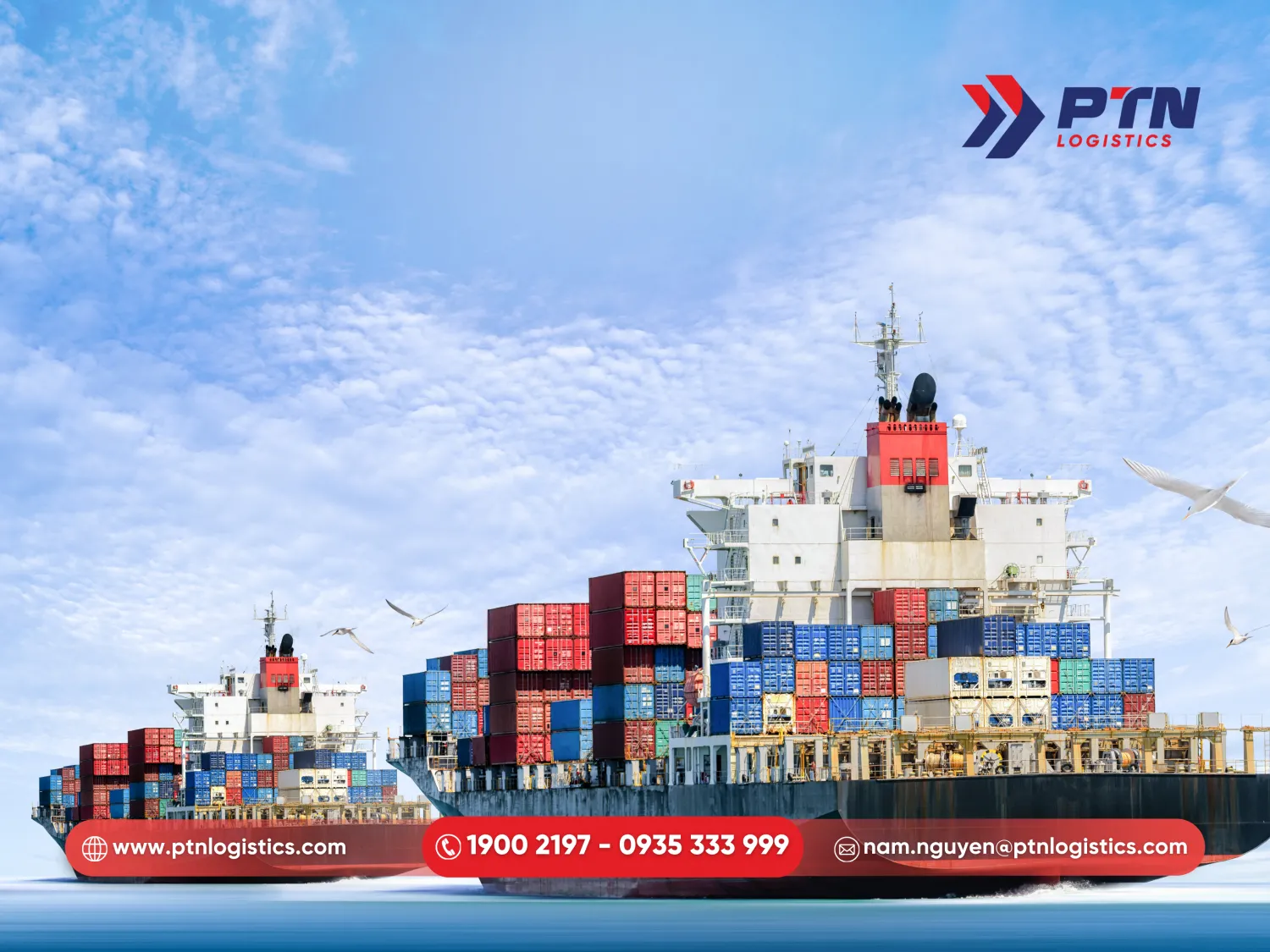 Nhập khẩu sâm Hàn Quốc bằng đường biển