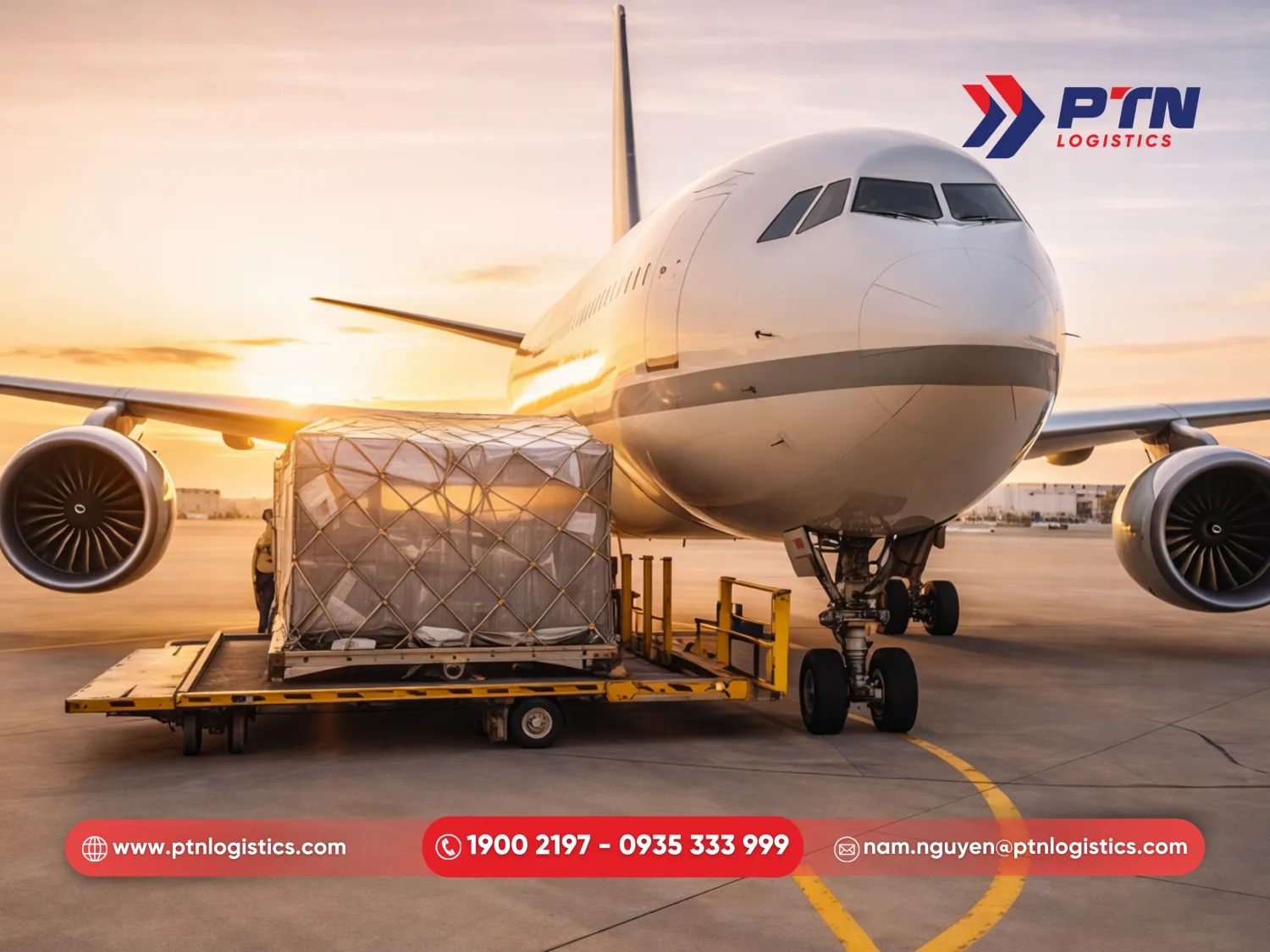 Nhập khẩu sâm Hàn Quốc bằng đường hàng không