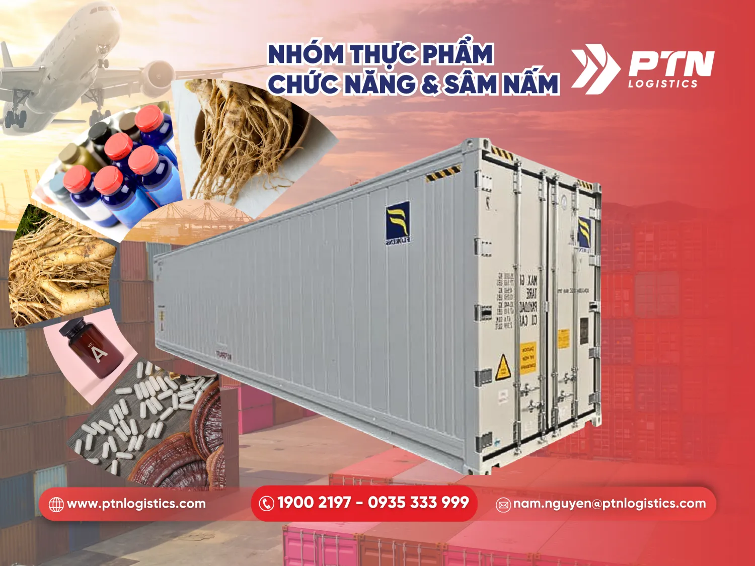 Nhóm thực phẩm chức năng sâm và nấm