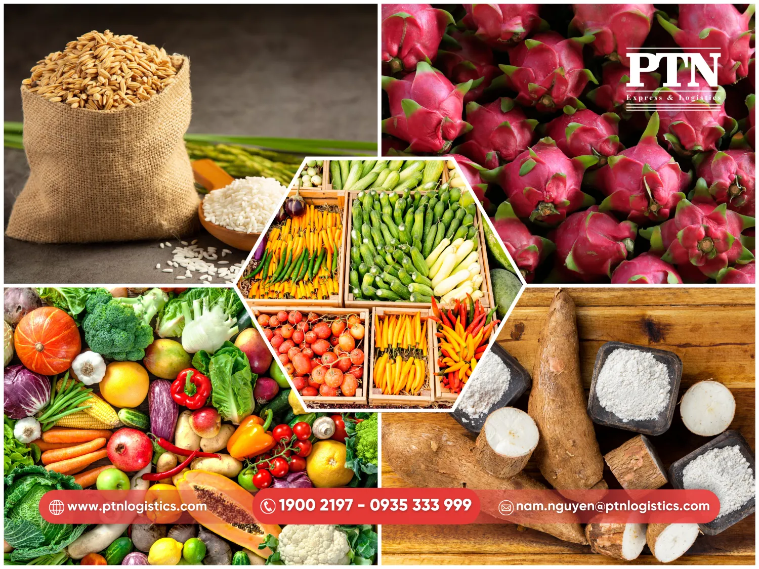 Tổng quan thị trường và yêu cầu mới từ phía Trung Quốc