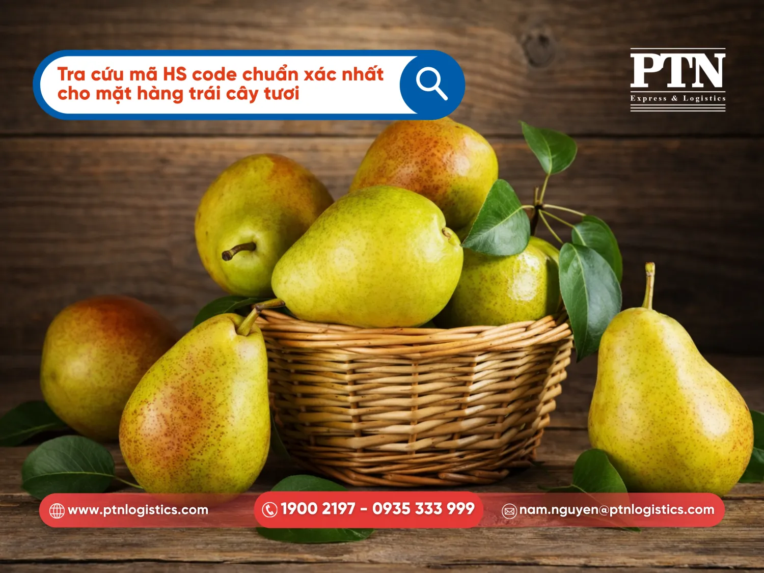 Tra cứu mã HS Code chuẩn xác nhất cho mặt hàng trái cây tươi