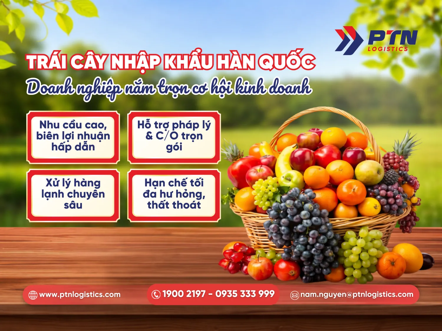 Trái cây nhập khẩu Hàn Quốc: Doanh nghiệp nắm trọn cơ hội kinh doanh