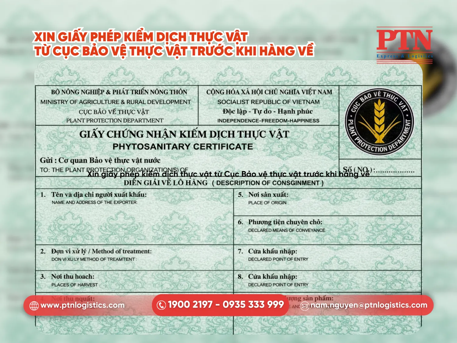 Xin giấy phép kiểm dịch thực vật từ cục bảo vệ thực vật trước khi hàng về