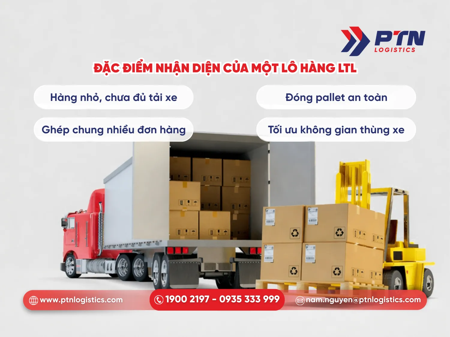 Các đặc điểm nhận diện của một lô hàng TLT