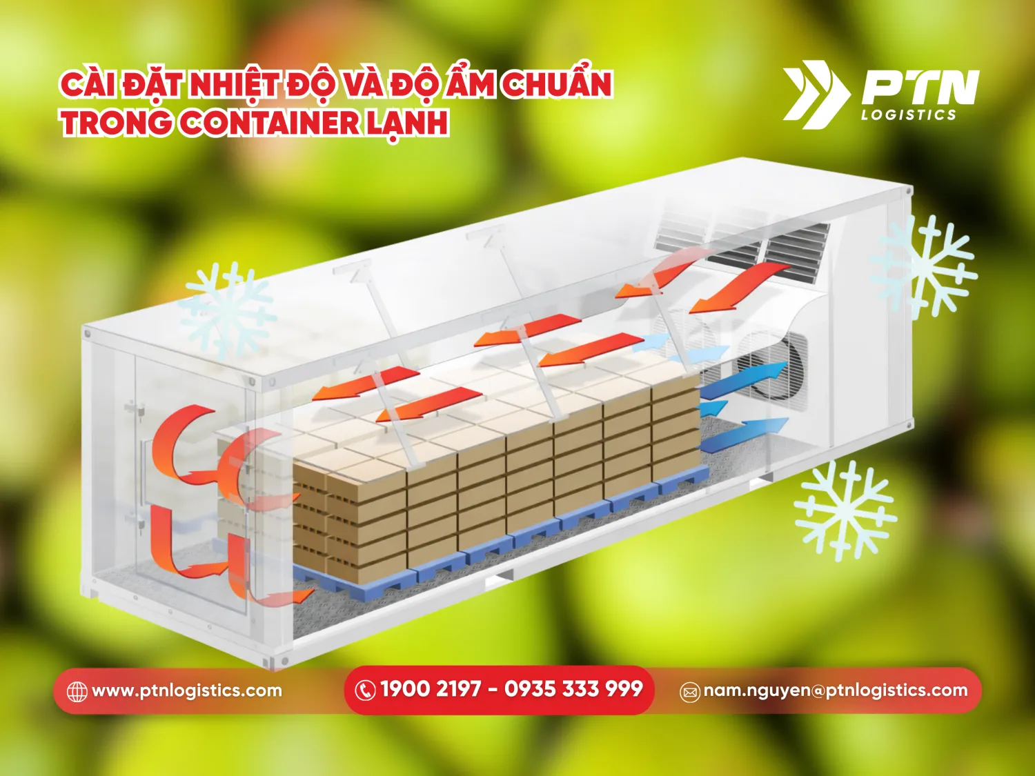 Cài đặt nhiệt độ và độ ẩm chuẩn trong cont lạnh