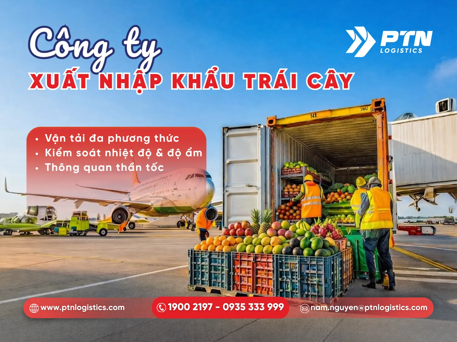 Công ty xuất nhập khẩu trái cây chuyên nghiệp