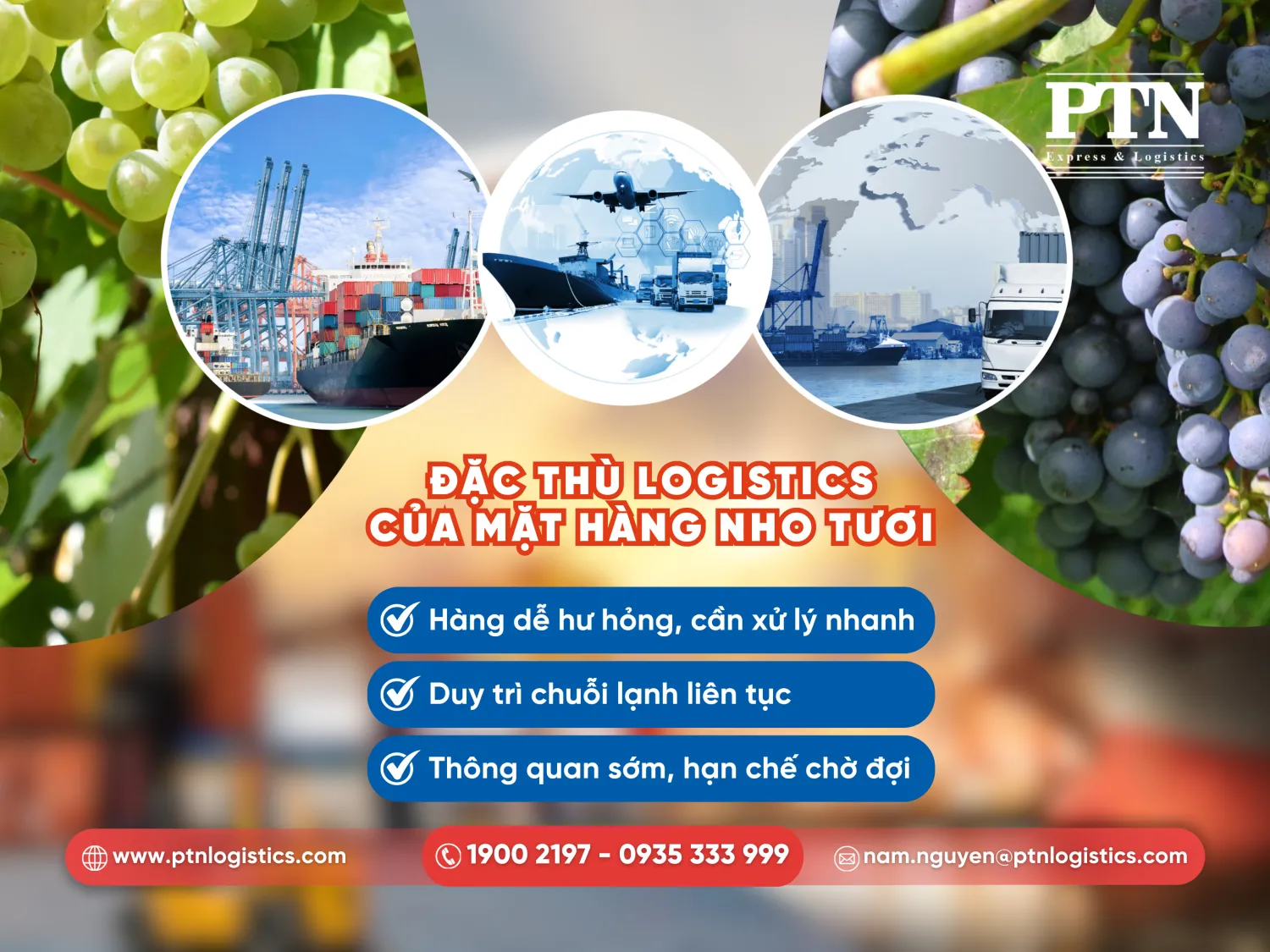 Đặc thù logistics của mặt hàng nho tươi