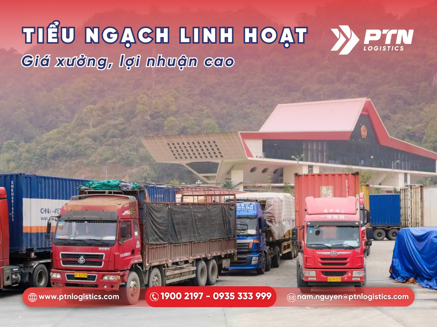 Khi nào nên lựa chọn nhập tiểu ngạch