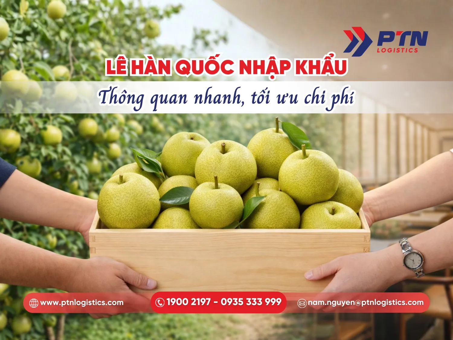 Lê nhập khẩu Hàn Quốc thông quan nhanh tối ưu chi phí