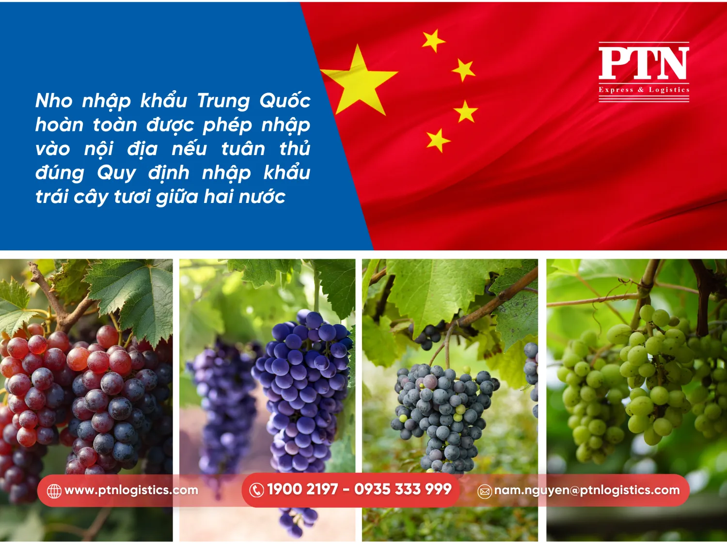 Nho Trung Quốc hoàn toàn được phép nhập khẩu