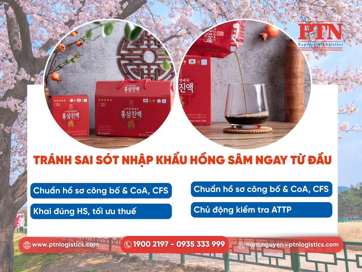 Nước hồng sâm 6 năm tuổi nhập khẩu Hàn Quốc